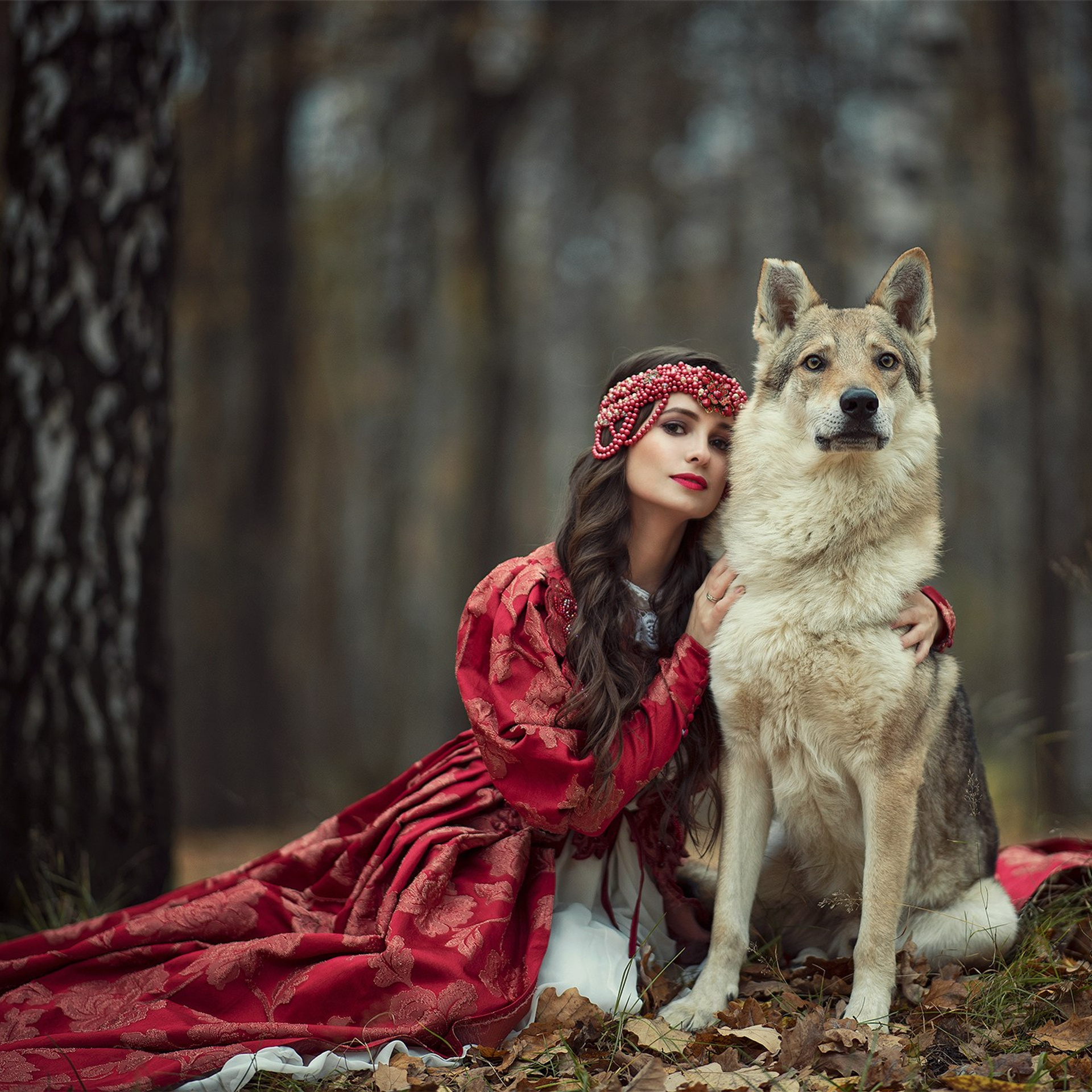 фотосессия с волком, волк для фотосессии, волчак, юлиана бевз, сказочная фотосессия, сказочная фотография, волшебная фотосессия, фотосессия с волком в москве, фотосессия в москве, оригинальная фотосессия москва, девушка с волком, девушка и волк