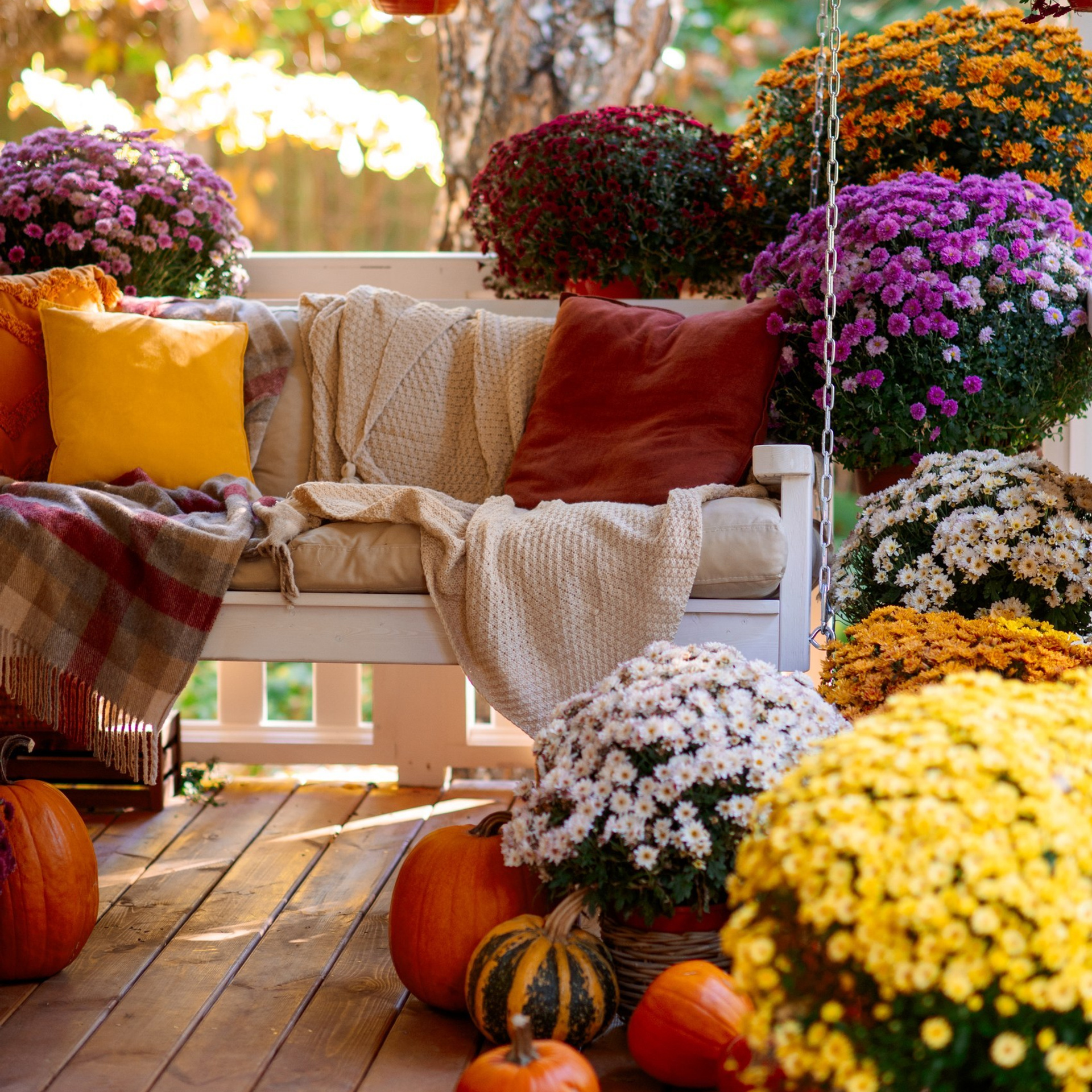 Фотодомик, семейная фотосессия, осенняя фотосессия, красивая фотостудия, фотостудия с цветами, фотосессия осенью