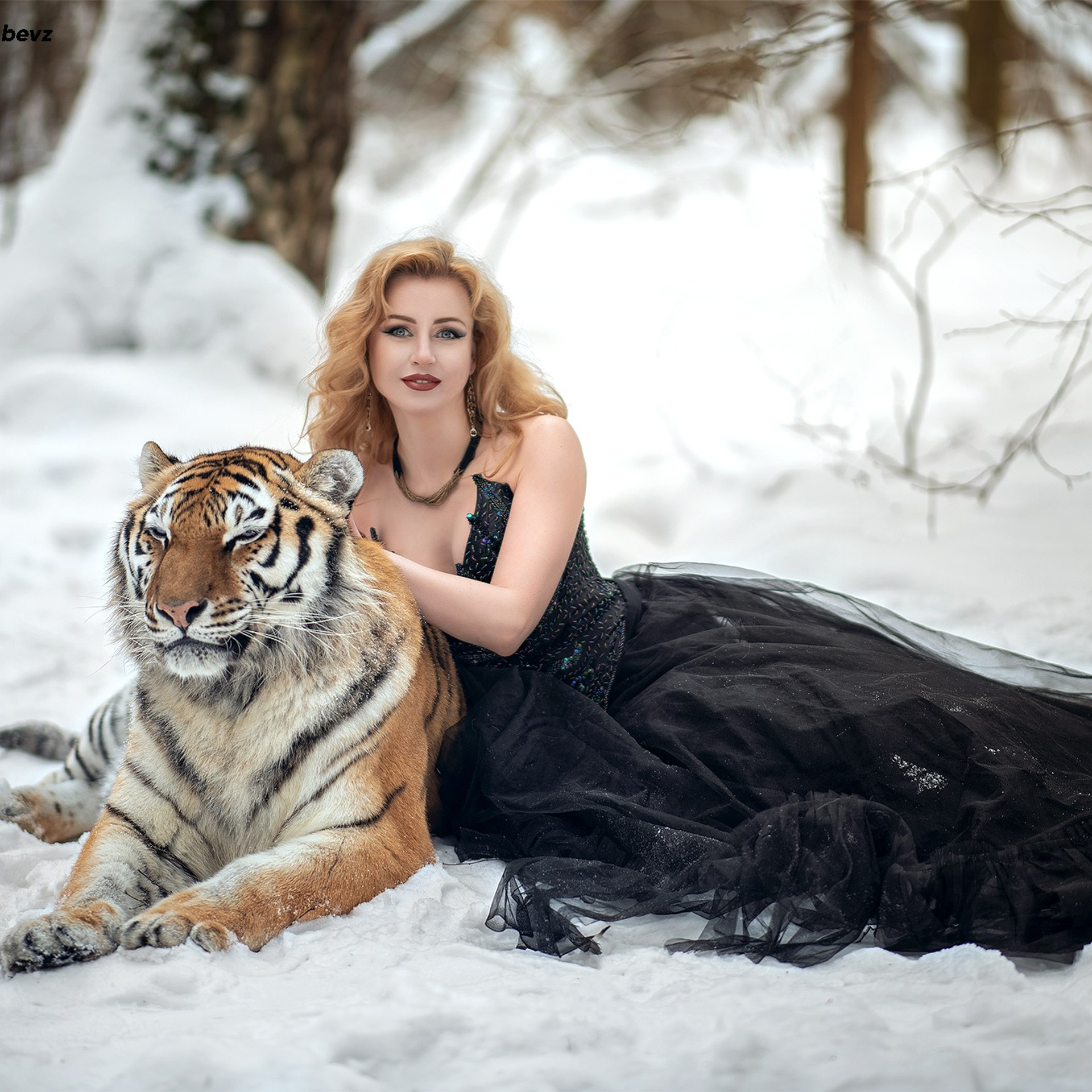 фотосессия с тигром, фотосессия с тигром в москве, тигр москва, девушка с тигром, девушка и тигр, портрет с тигром, фото с тигром