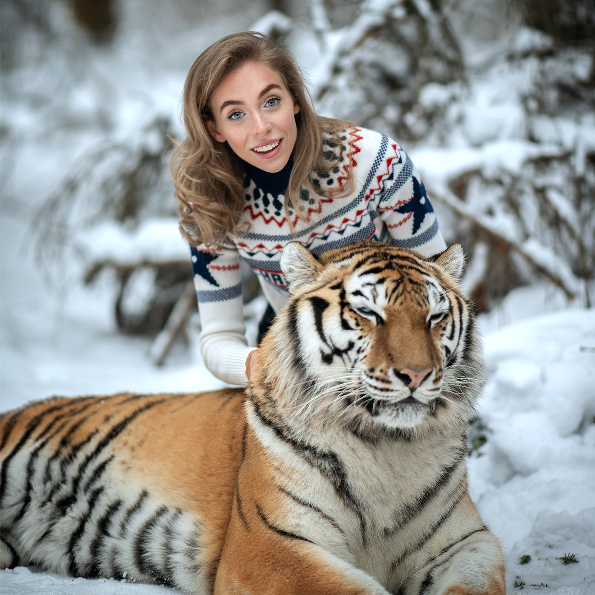 фотосессия с тигром, фотосессия с тигром в москве, тигр москва, девушка с тигром, девушка и тигр, портрет с тигром, фото с тигром