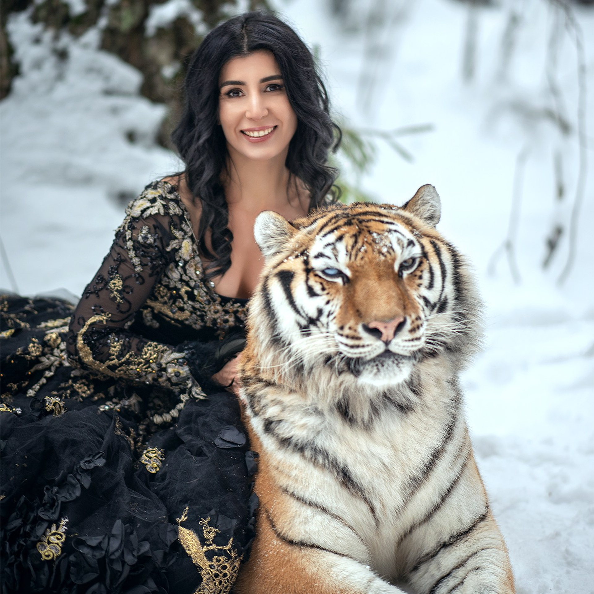 фотосессия с тигром, фотосессия с тигром в москве, тигр москва, девушка с тигром, девушка и тигр, портрет с тигром, фото с тигром