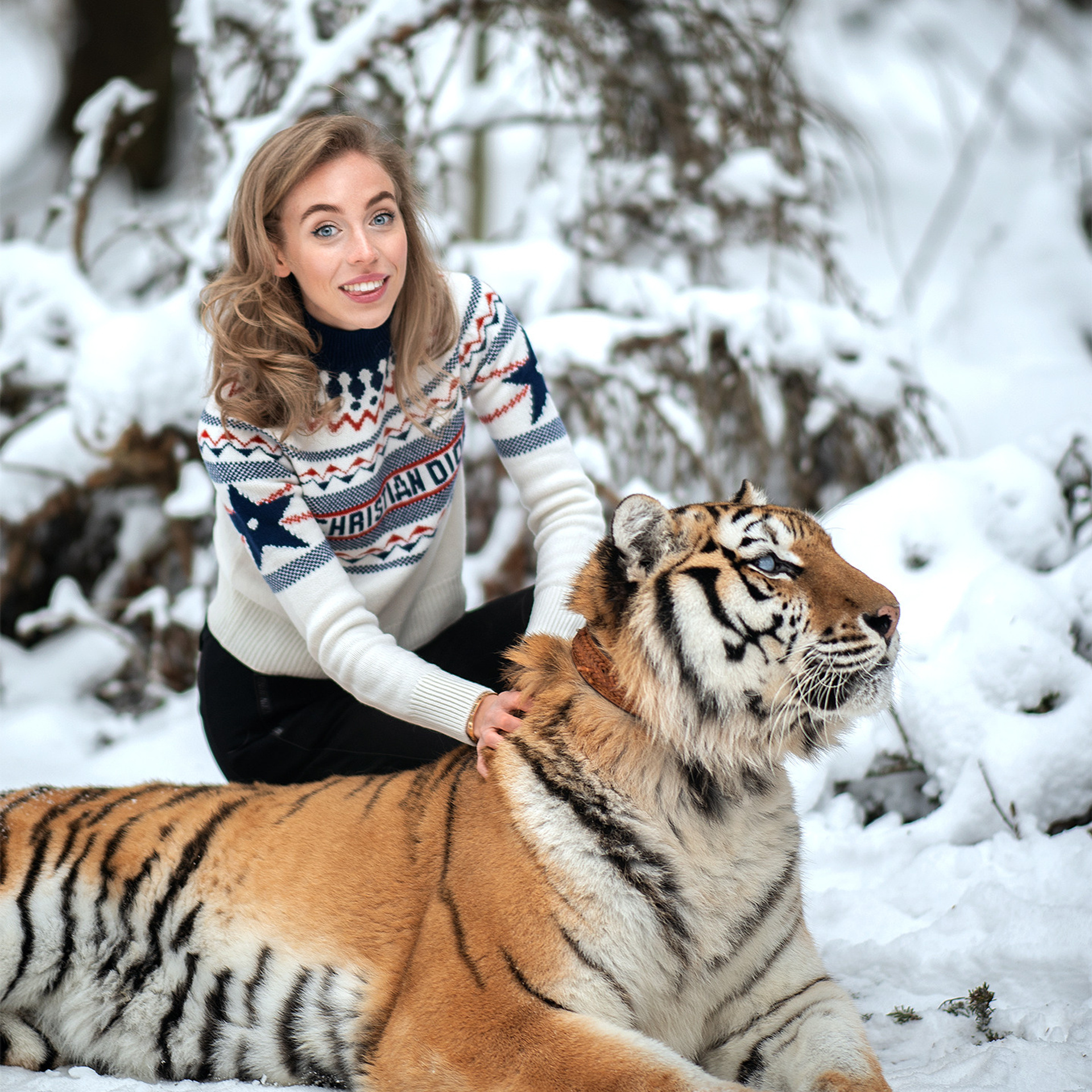 фотосессия с тигром, фотосессия с тигром в москве, тигр москва, девушка с тигром, девушка и тигр, портрет с тигром, фото с тигром