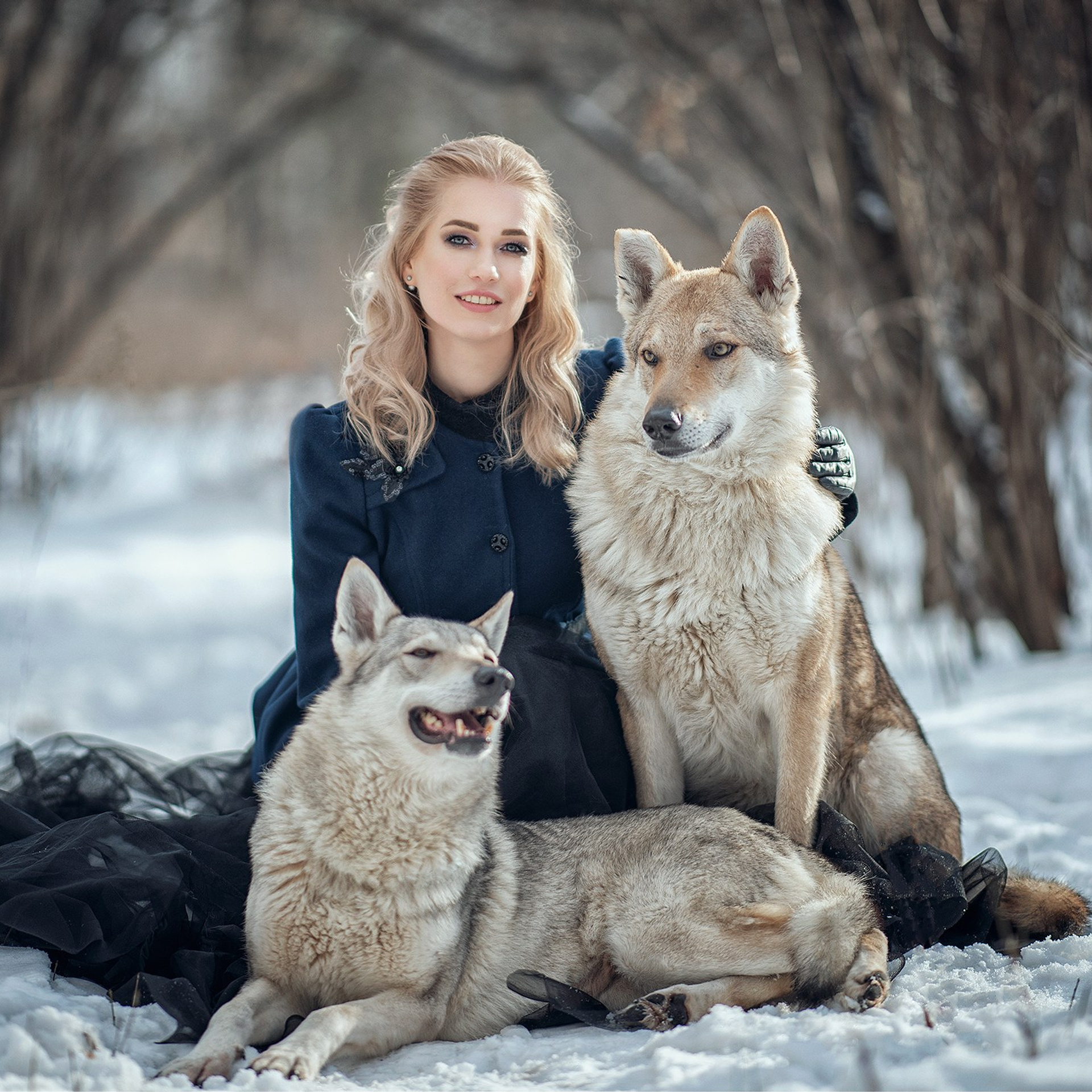 фотосессия с волчками, фотосессия с волками, фотосессия с волком москва, девушка с волком, фотосессия в москве