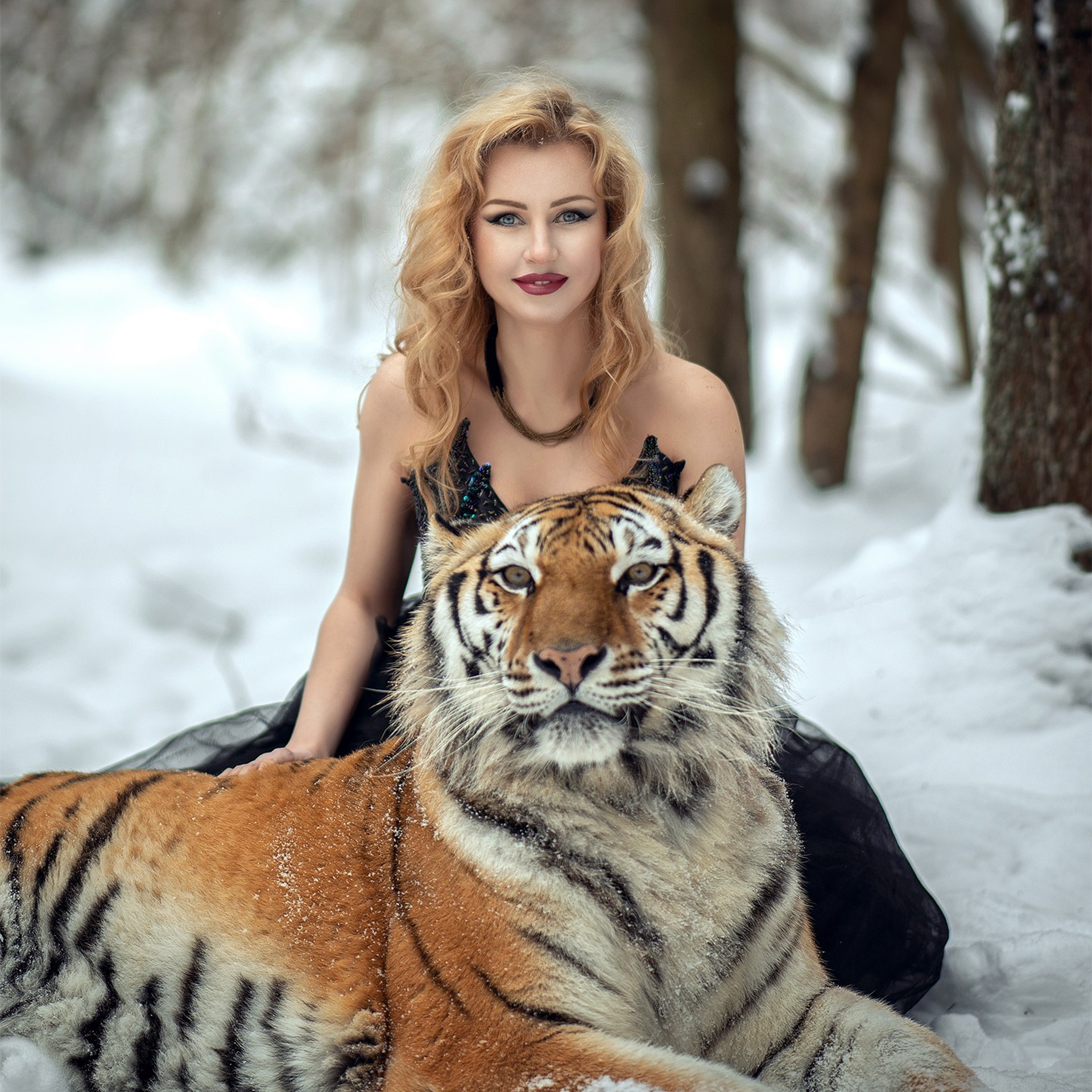 фотосессия с тигром, фотосессия с тигром в москве, тигр москва, девушка с тигром, девушка и тигр, портрет с тигром, фото с тигром