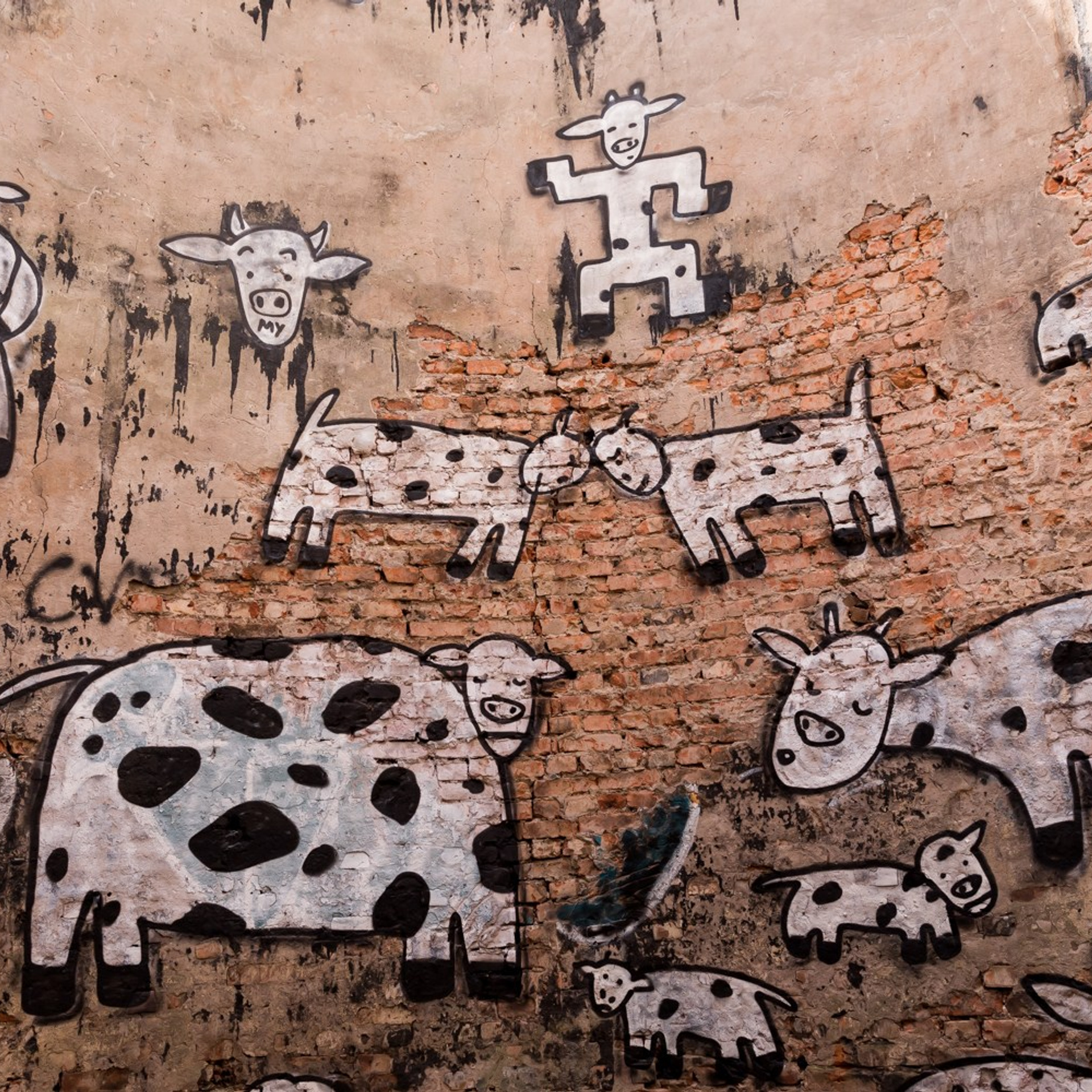 Паблик-арт проекты