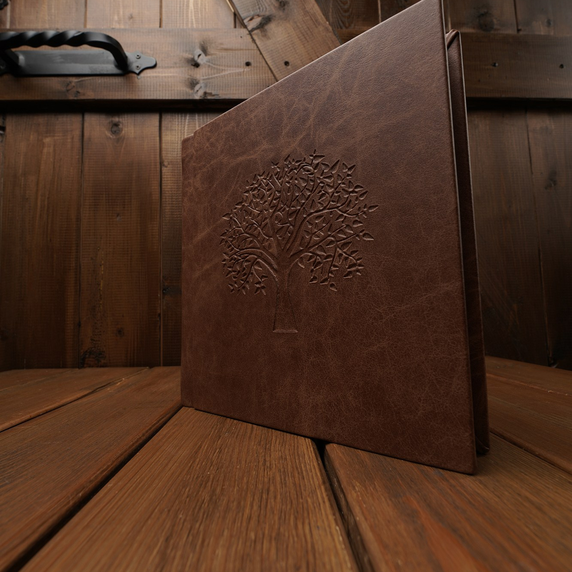 Семейная съемка