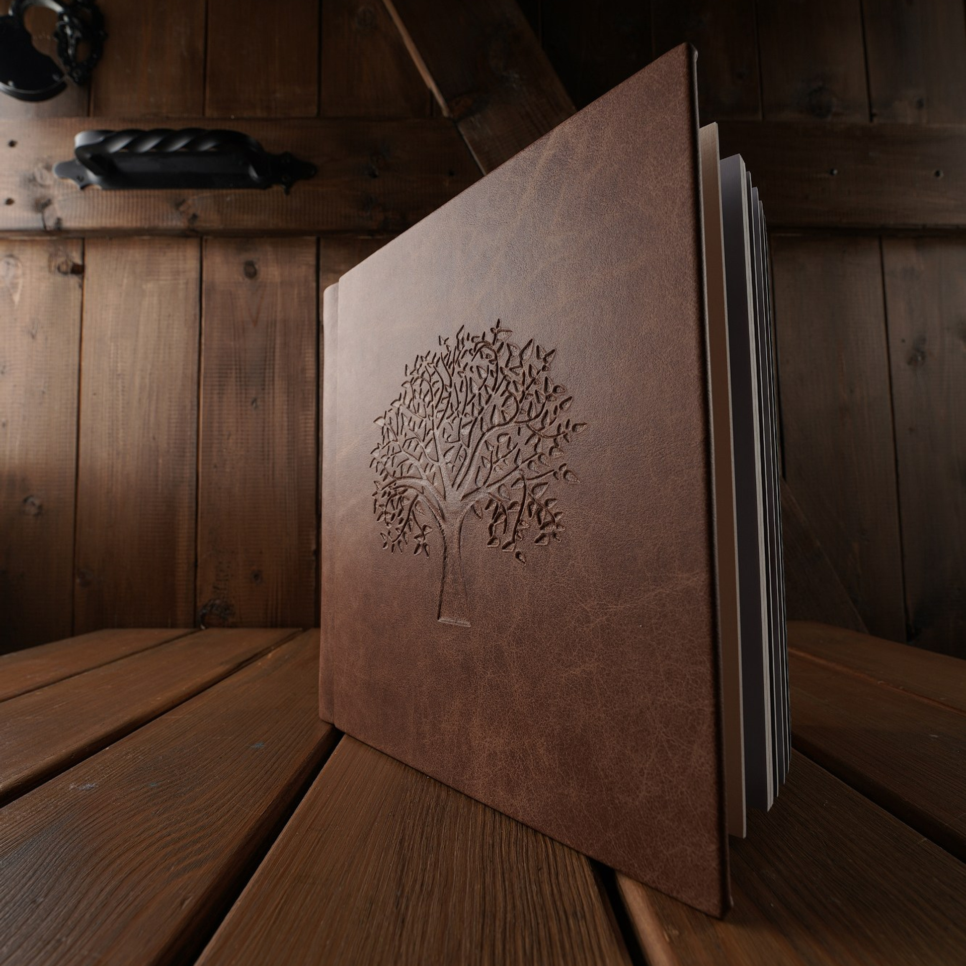 Семейная съемка