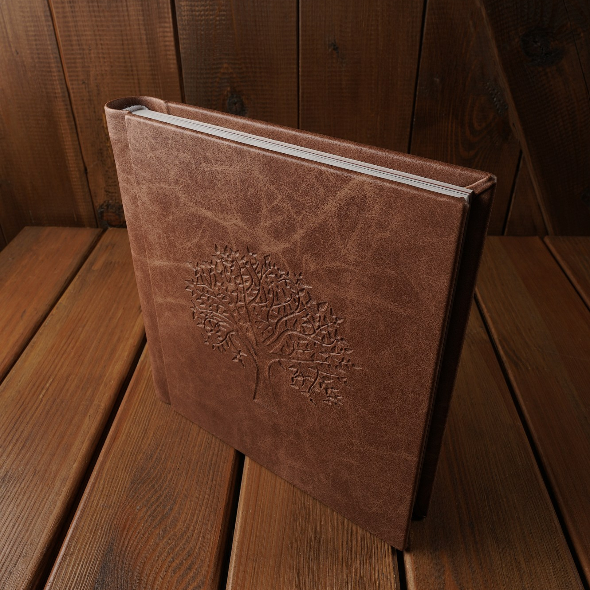 Семейная съемка