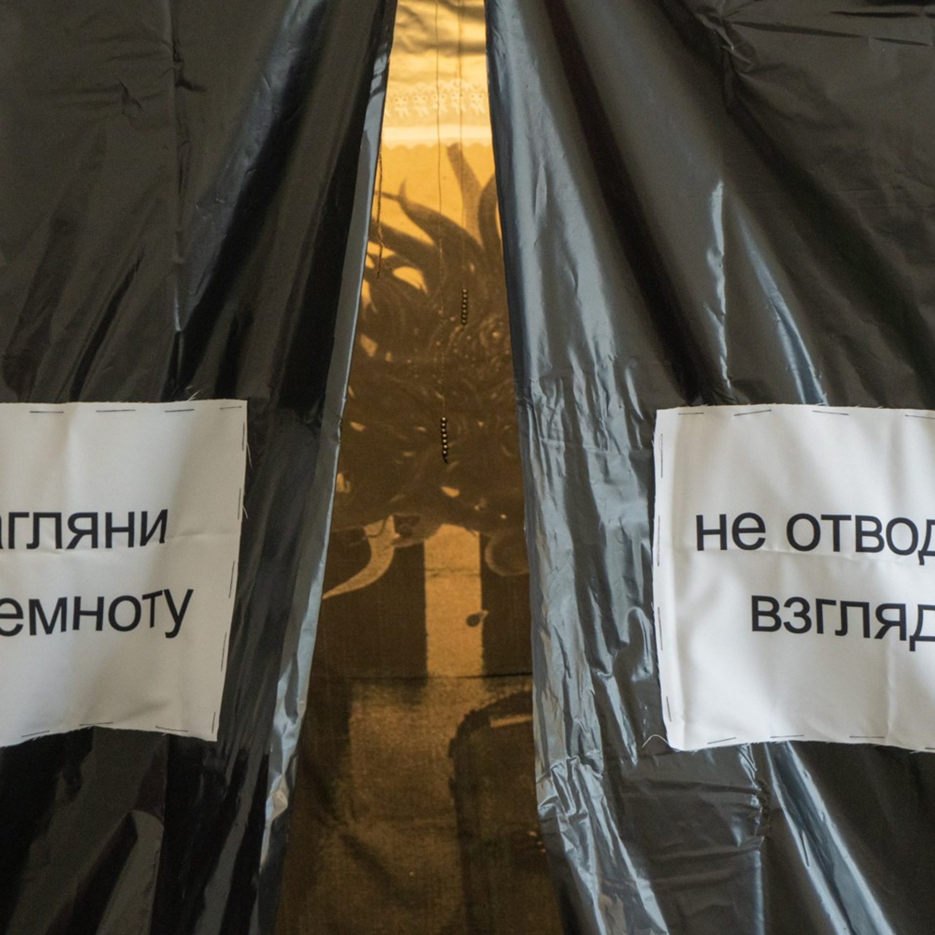 Что тебе снится, когда ты не видишь снов?. Козлова Екатерина. Междисциплинарная визуальная художница