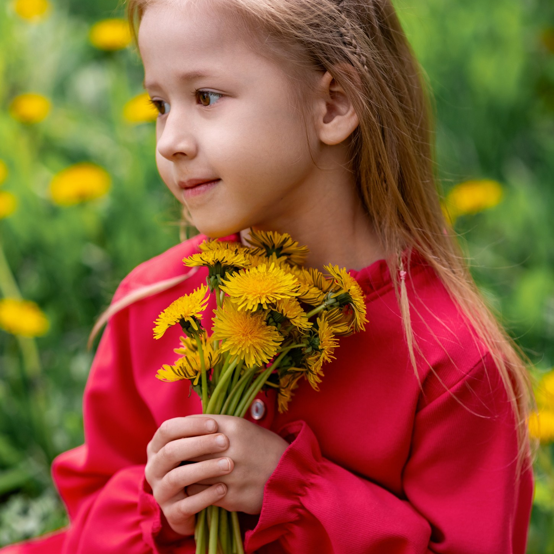 Одуванчики Апрель–Май