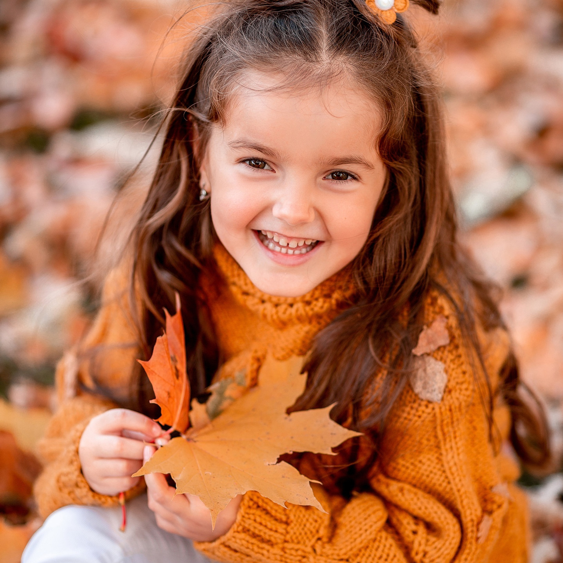 Золотая осень ОКТЯБРЬ