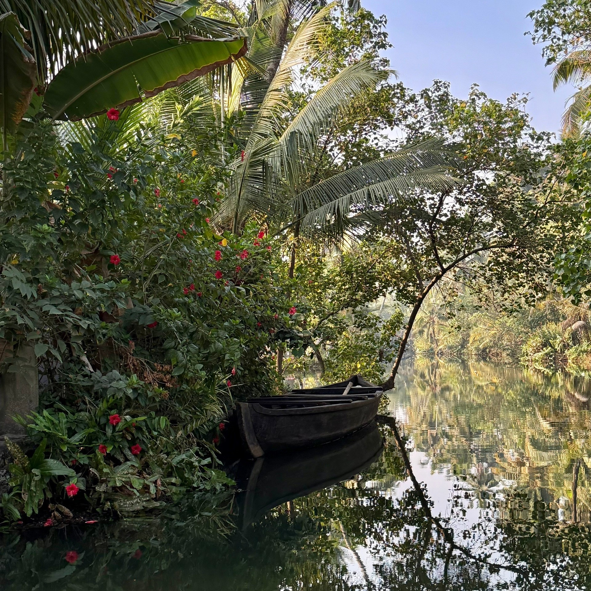 ИНДИЯ 2027. Художник, арт — терапевт, преподаватель рисования Шабырова Анна, Москва