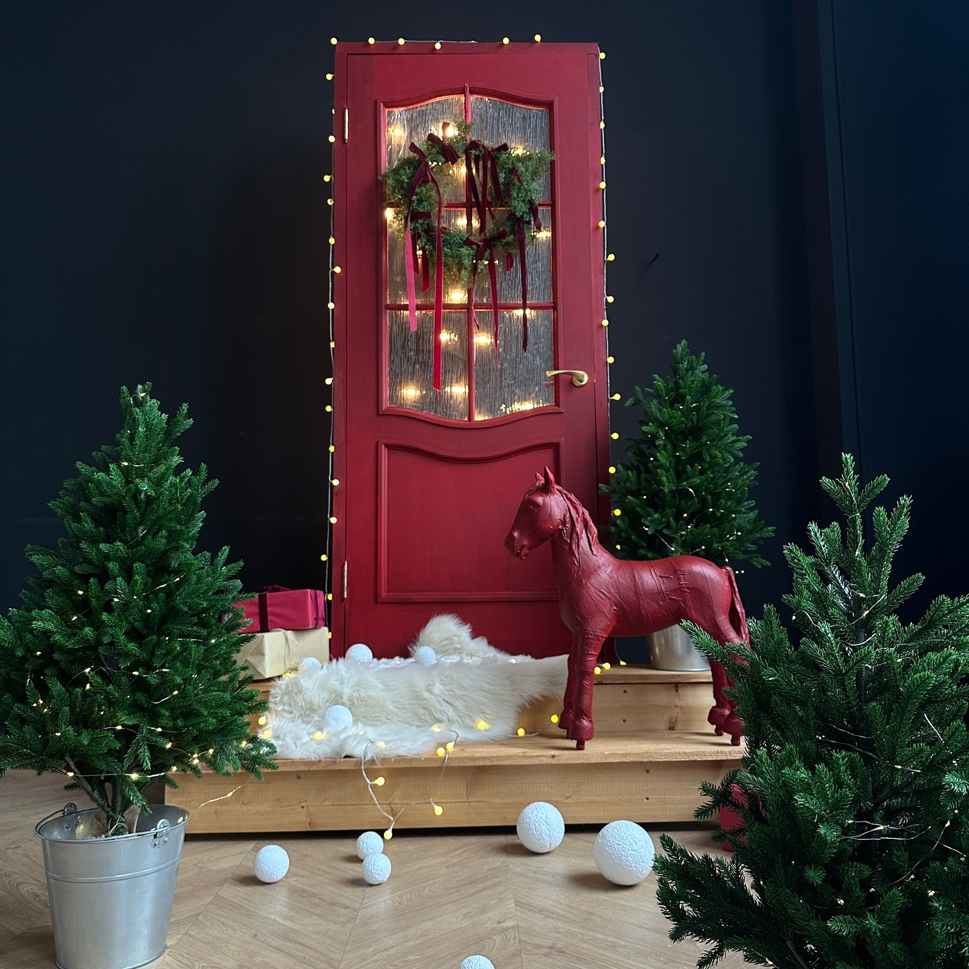 Новый год. Каплицкая Любовь — фотограф Тверь