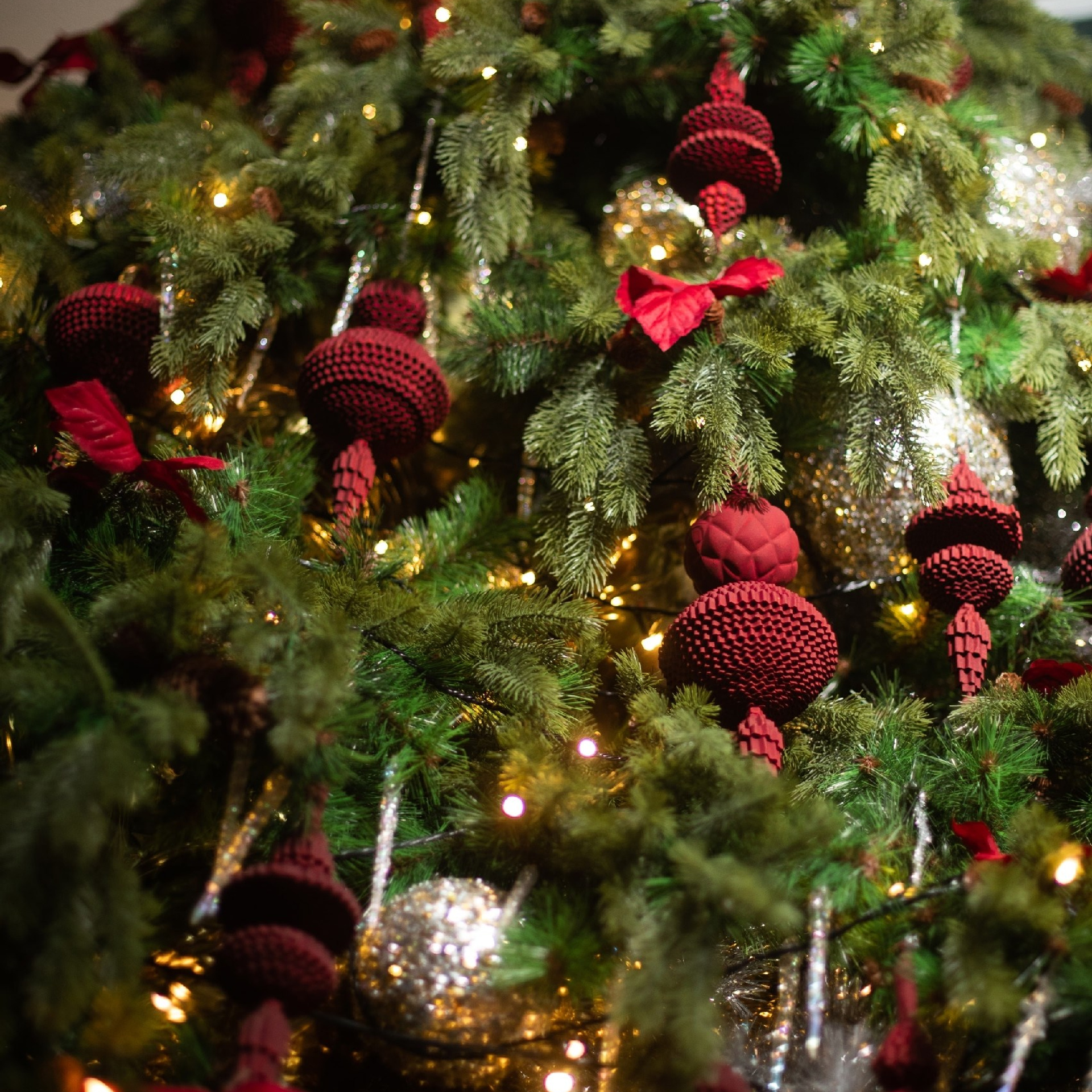 Новый год. Каплицкая Любовь — фотограф Тверь