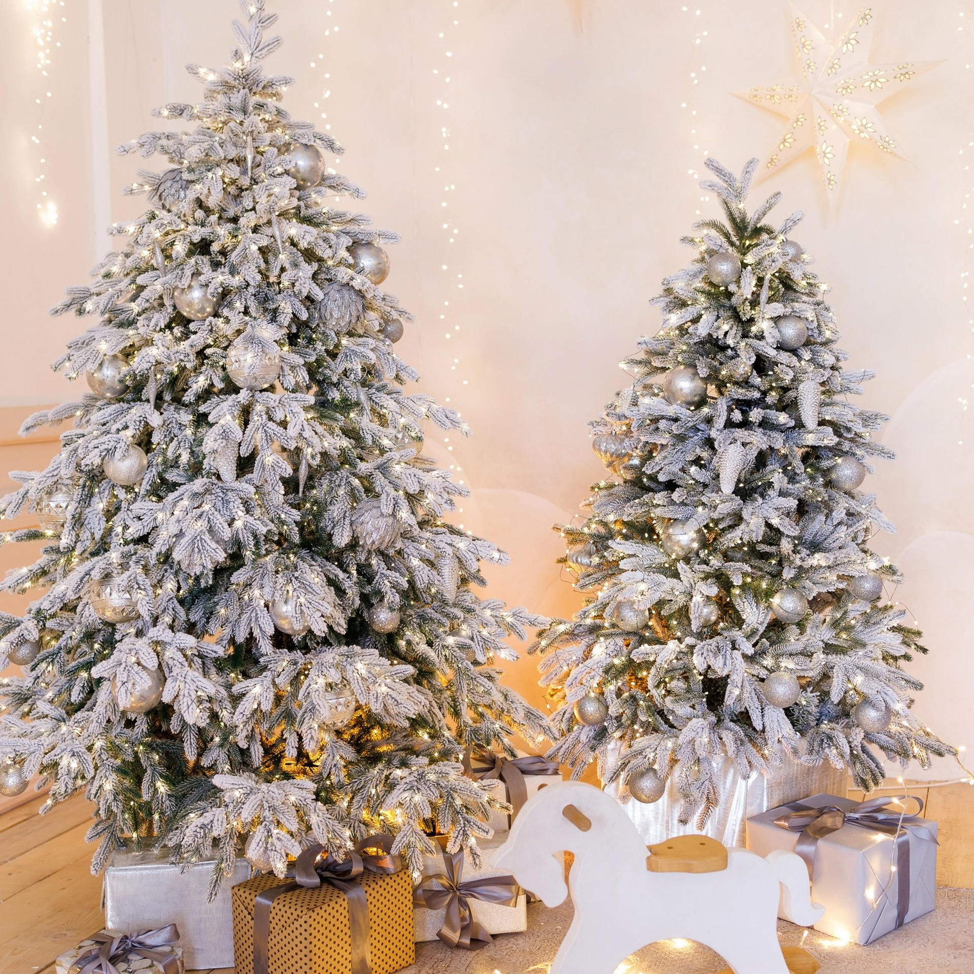 Новый год. Каплицкая Любовь — фотограф Тверь