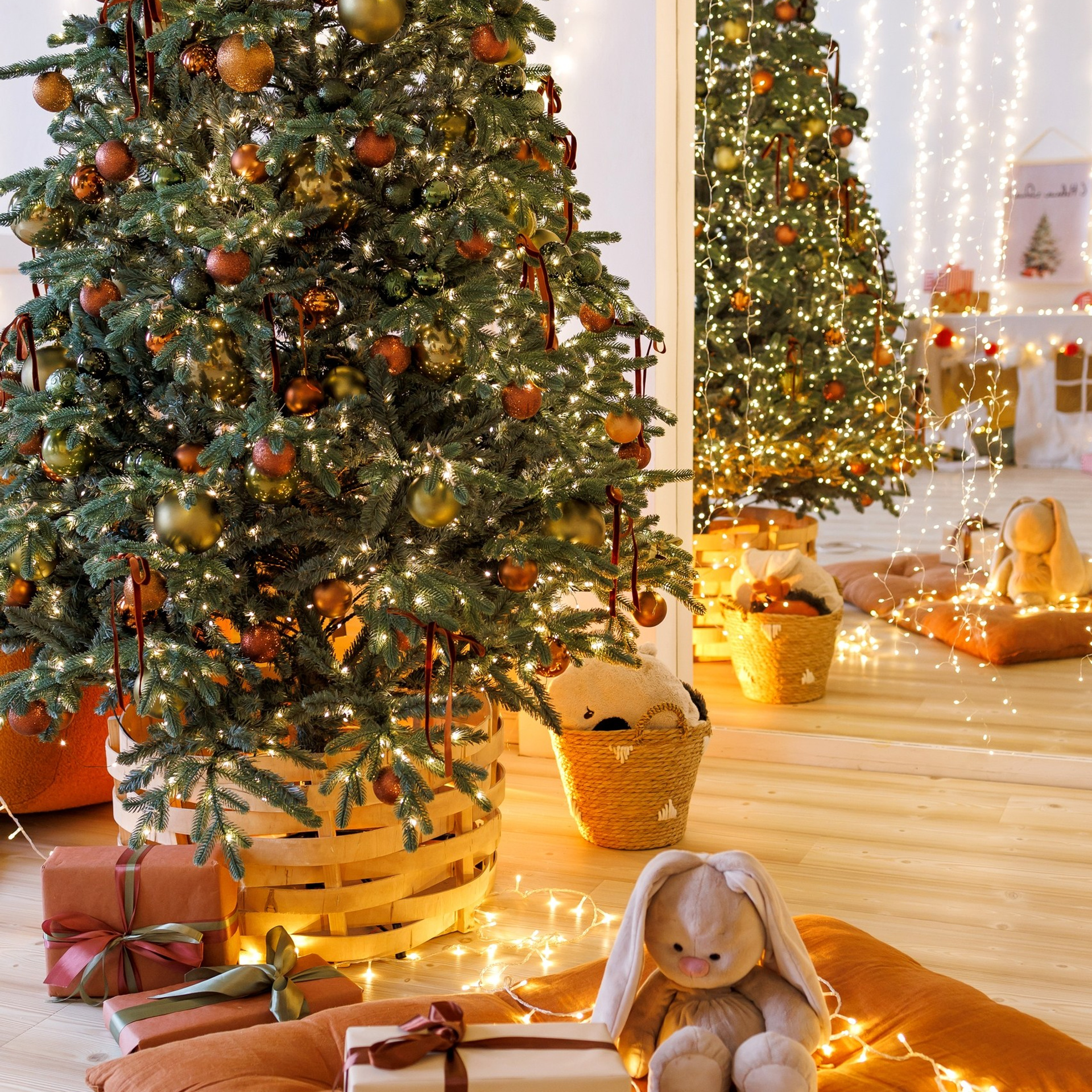 Новый год. Каплицкая Любовь — фотограф Тверь