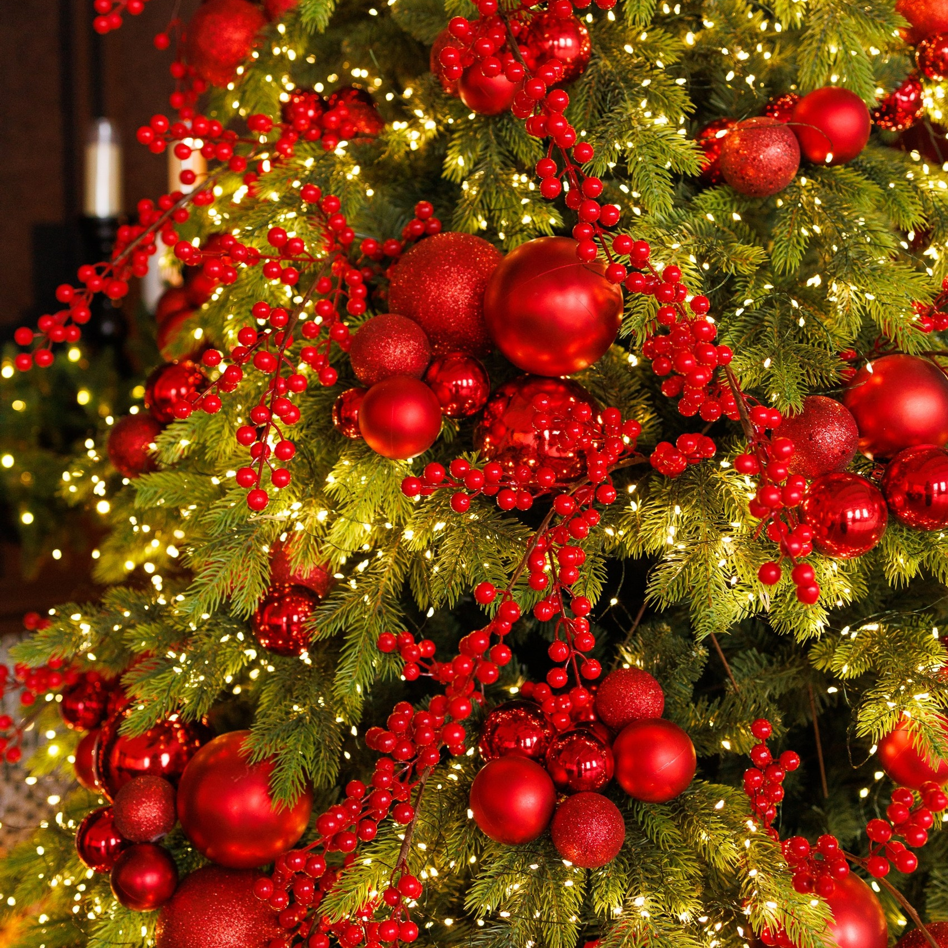 Новый год. Каплицкая Любовь — фотограф Тверь