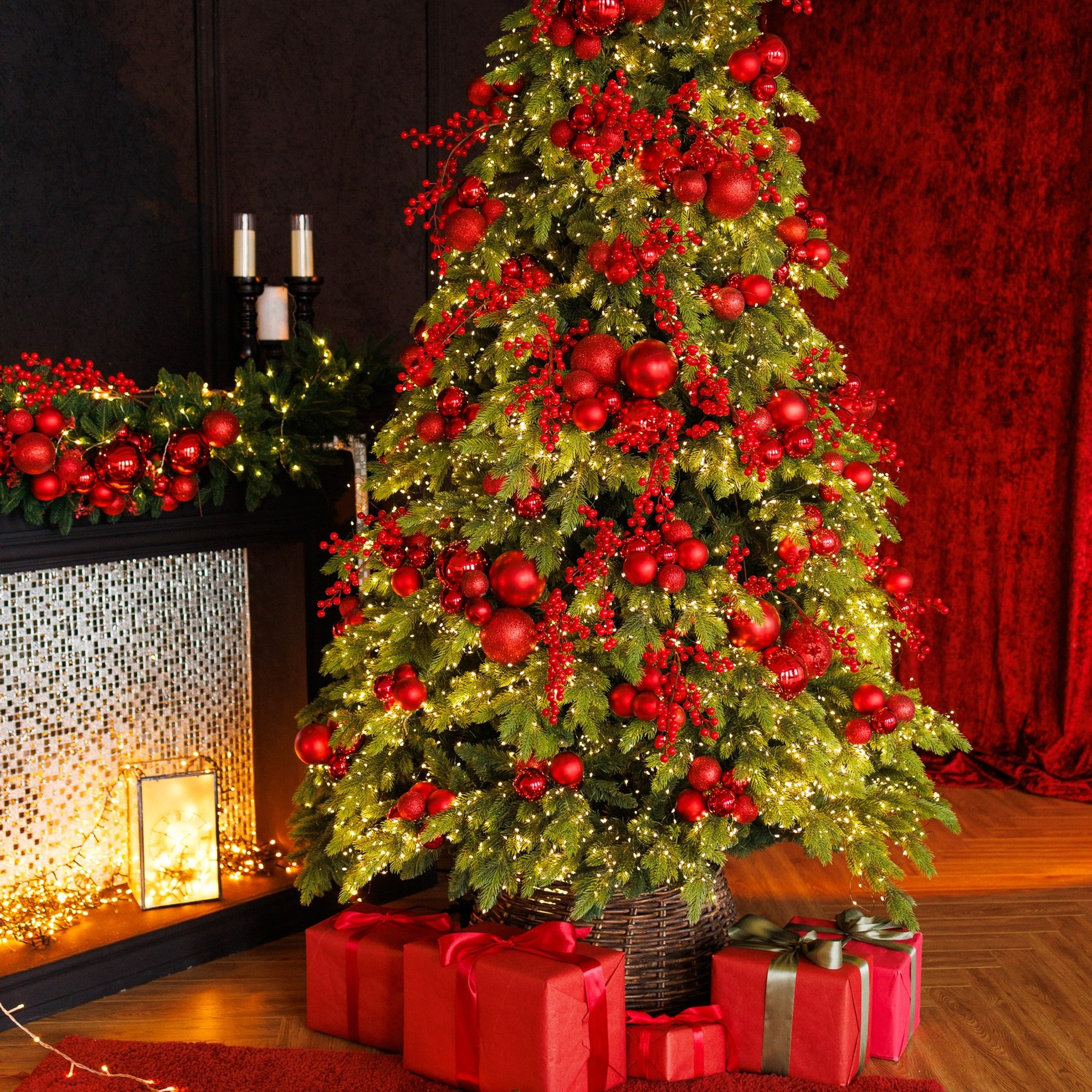 Новый год. Каплицкая Любовь — фотограф Тверь