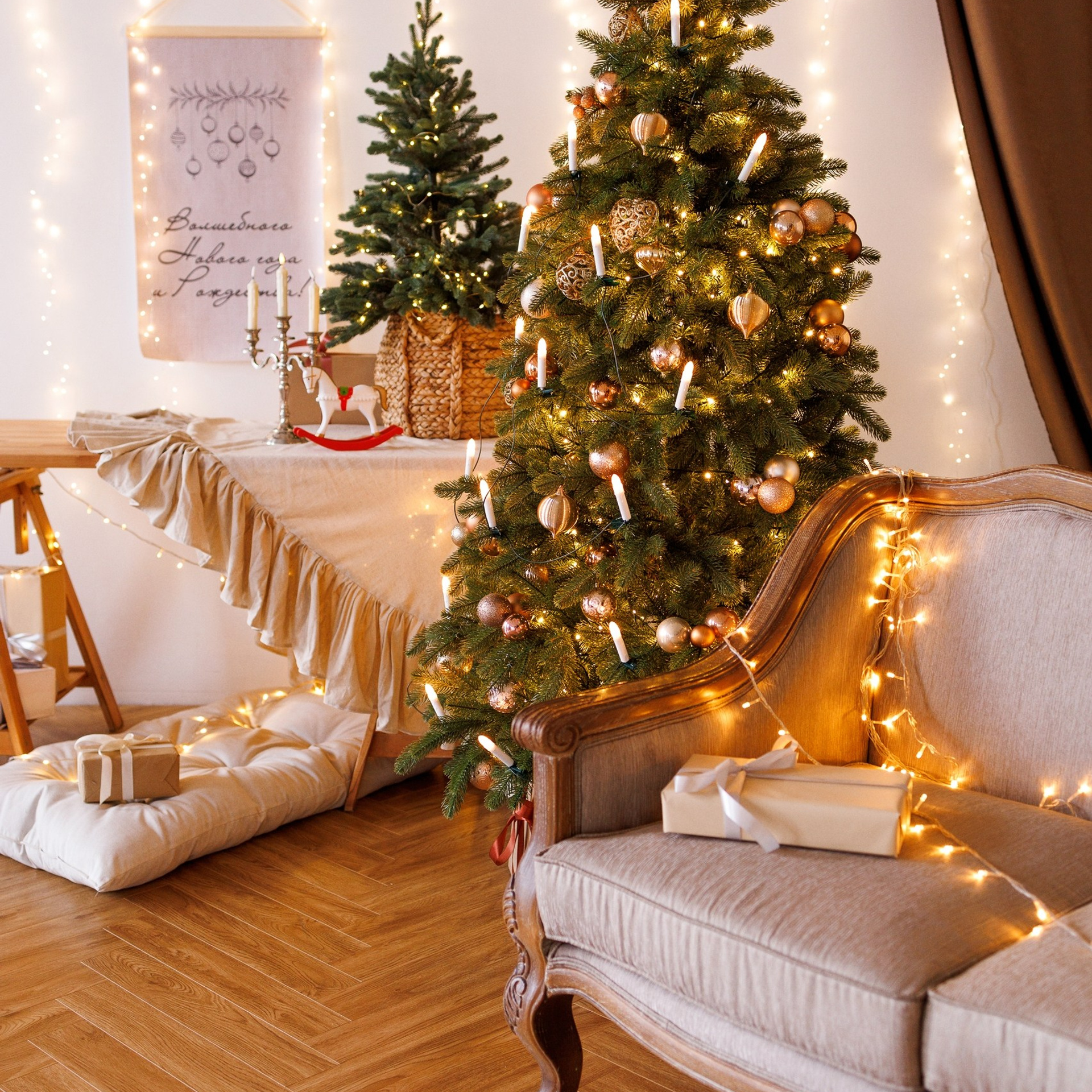 Новый год. Каплицкая Любовь — фотограф Тверь