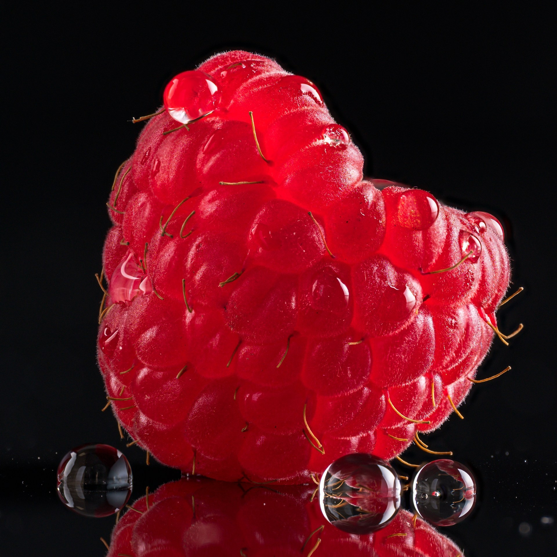 Студия коммерческой съемки ХВОЯ