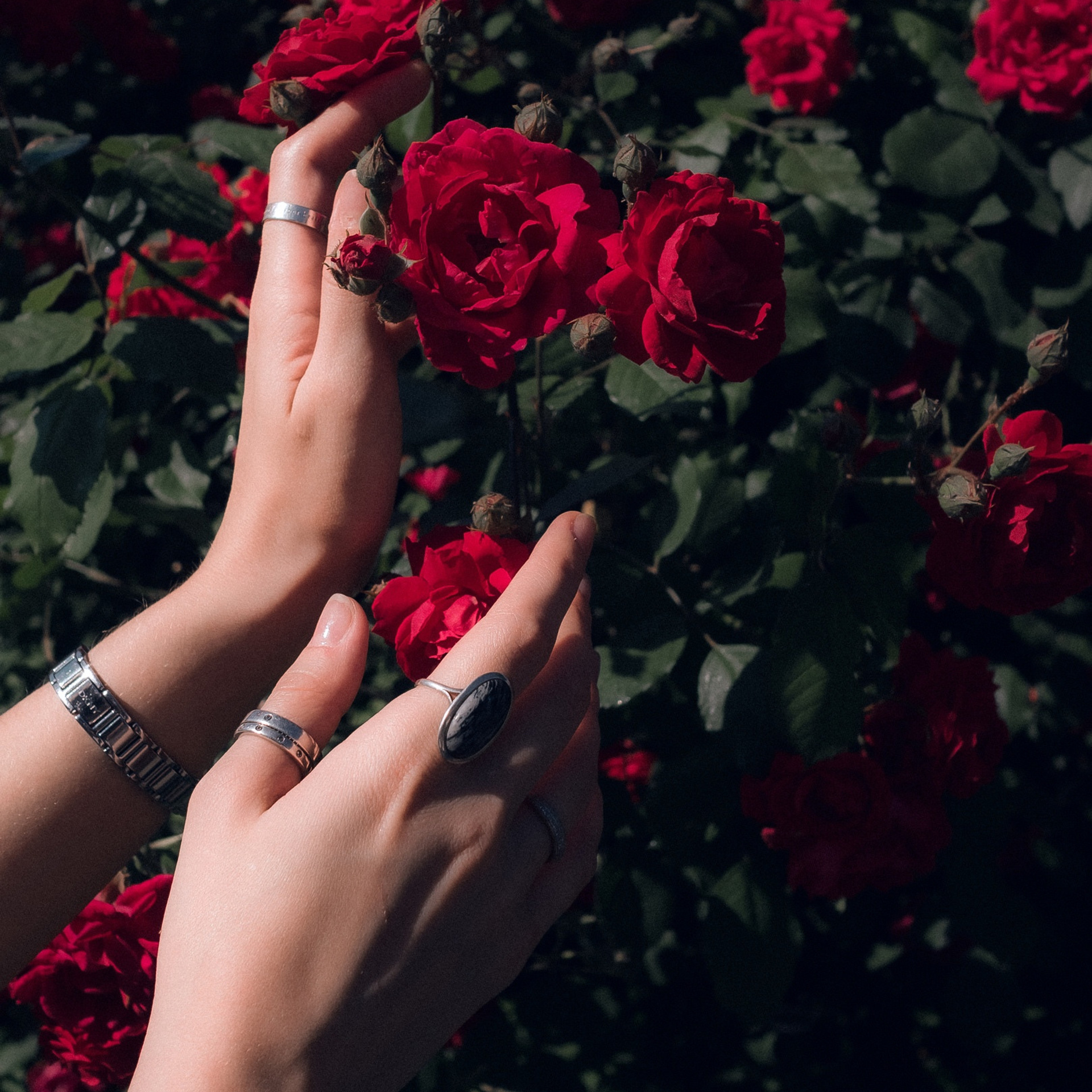 Фотограф в Краснодаре | Ирина Рише | Заказать фотосессию