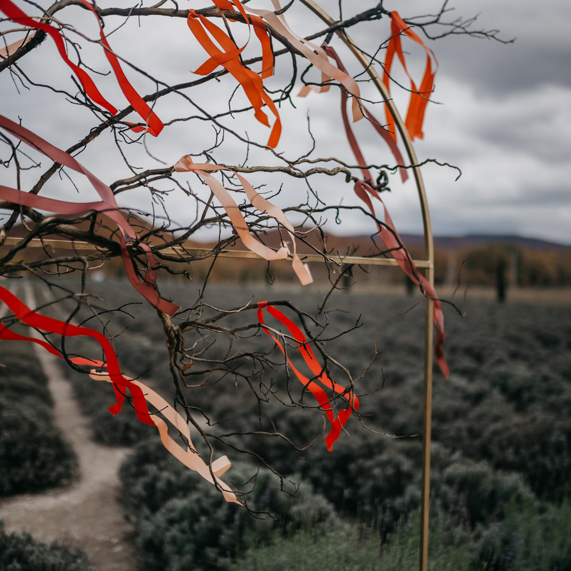 Фотографии о любви