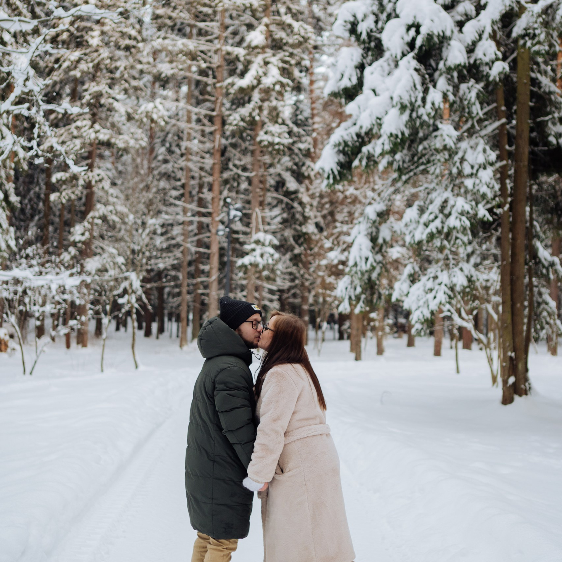 В зимнем лесу