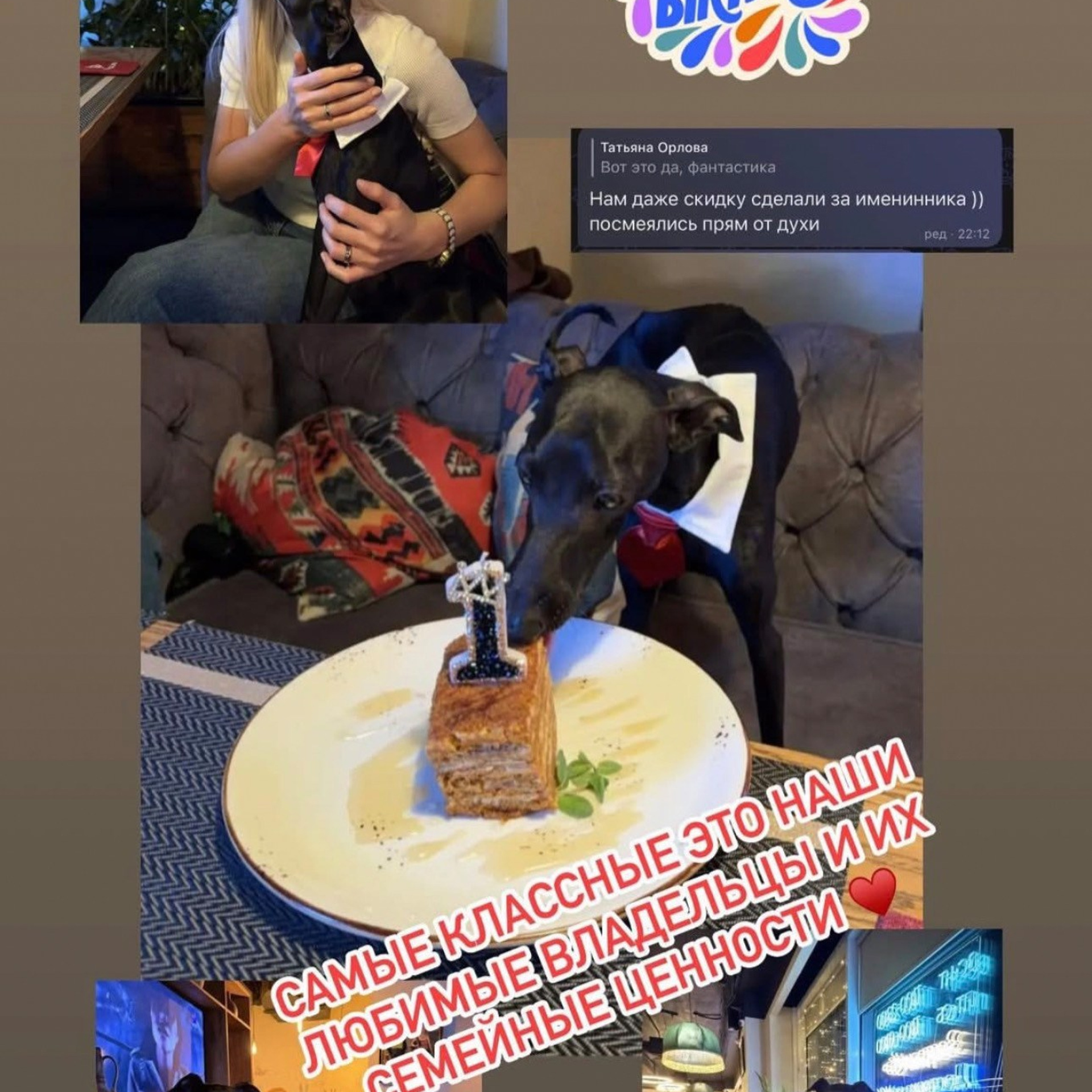 Итоги марта. Профессиональный питомник левреток РКФ/FCI ASTI SAPPHIRE 💎 Сочи|Санкт-Петербург