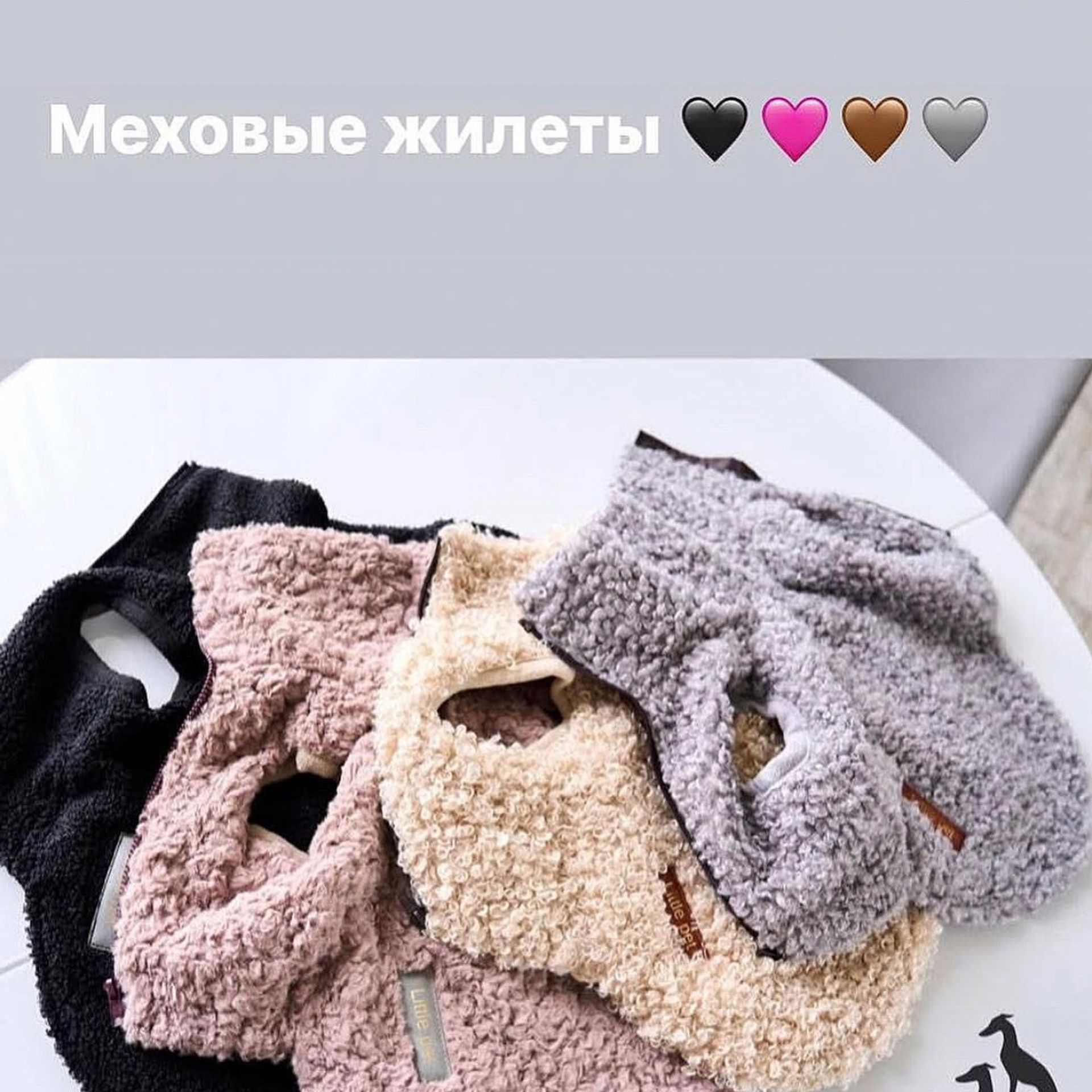 Итоги марта. Профессиональный питомник левреток РКФ/FCI ASTI SAPPHIRE 💎 Сочи|Санкт-Петербург