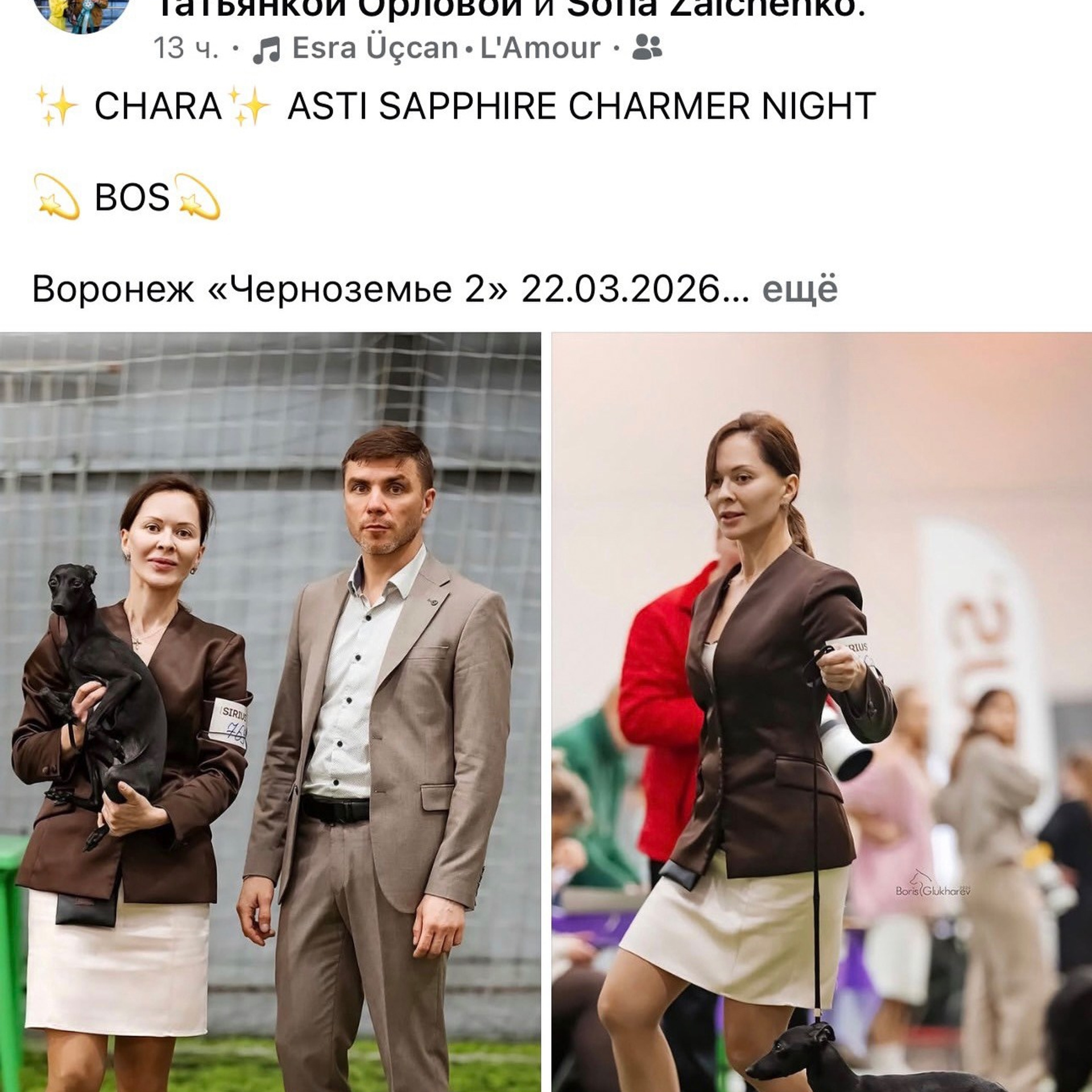 Итоги марта. Профессиональный питомник левреток РКФ/FCI ASTI SAPPHIRE 💎 Сочи|Санкт-Петербург