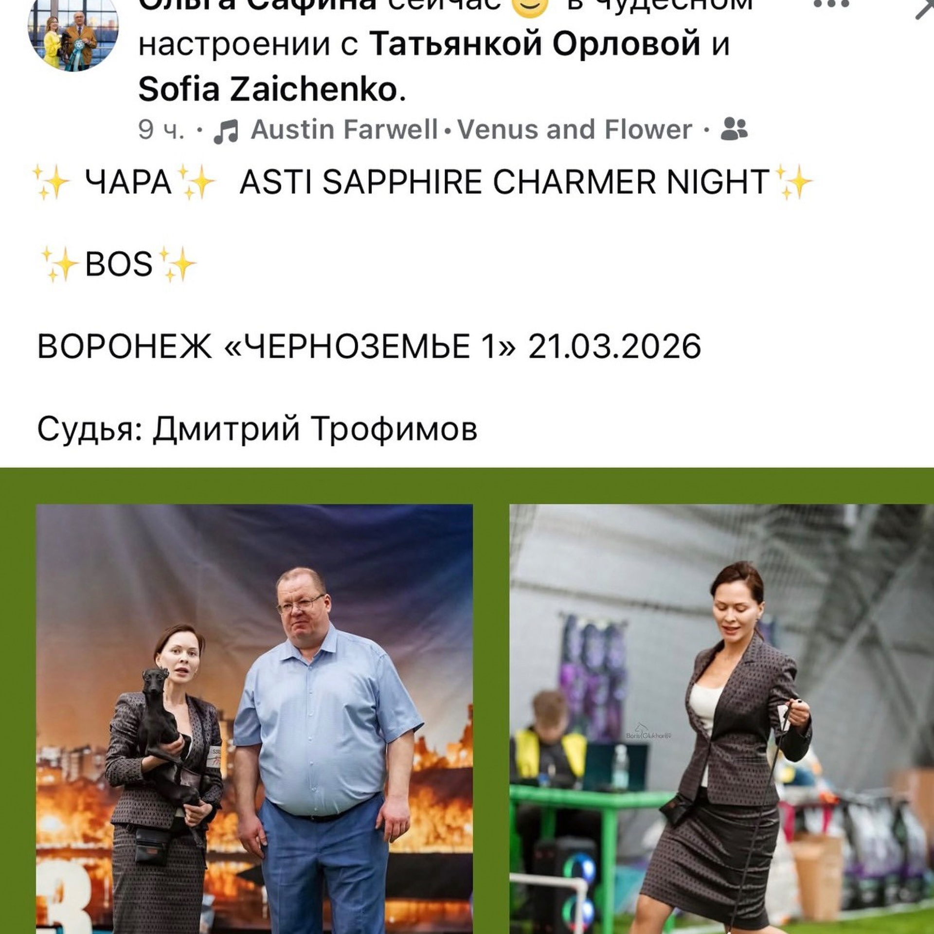 Итоги марта. Профессиональный питомник левреток РКФ/FCI ASTI SAPPHIRE 💎 Сочи|Санкт-Петербург