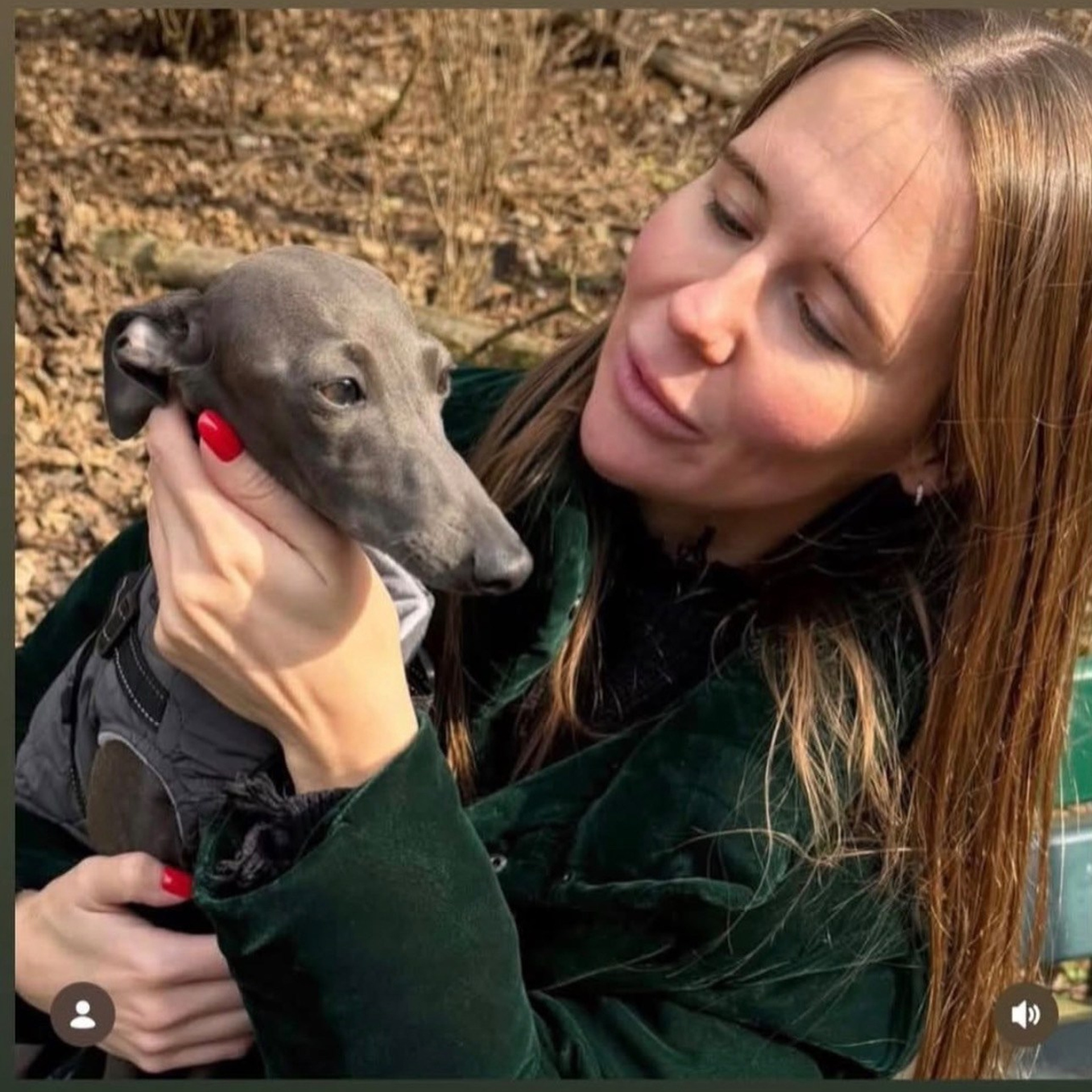 Итоги марта. Профессиональный питомник левреток РКФ/FCI ASTI SAPPHIRE 💎 Сочи|Санкт-Петербург