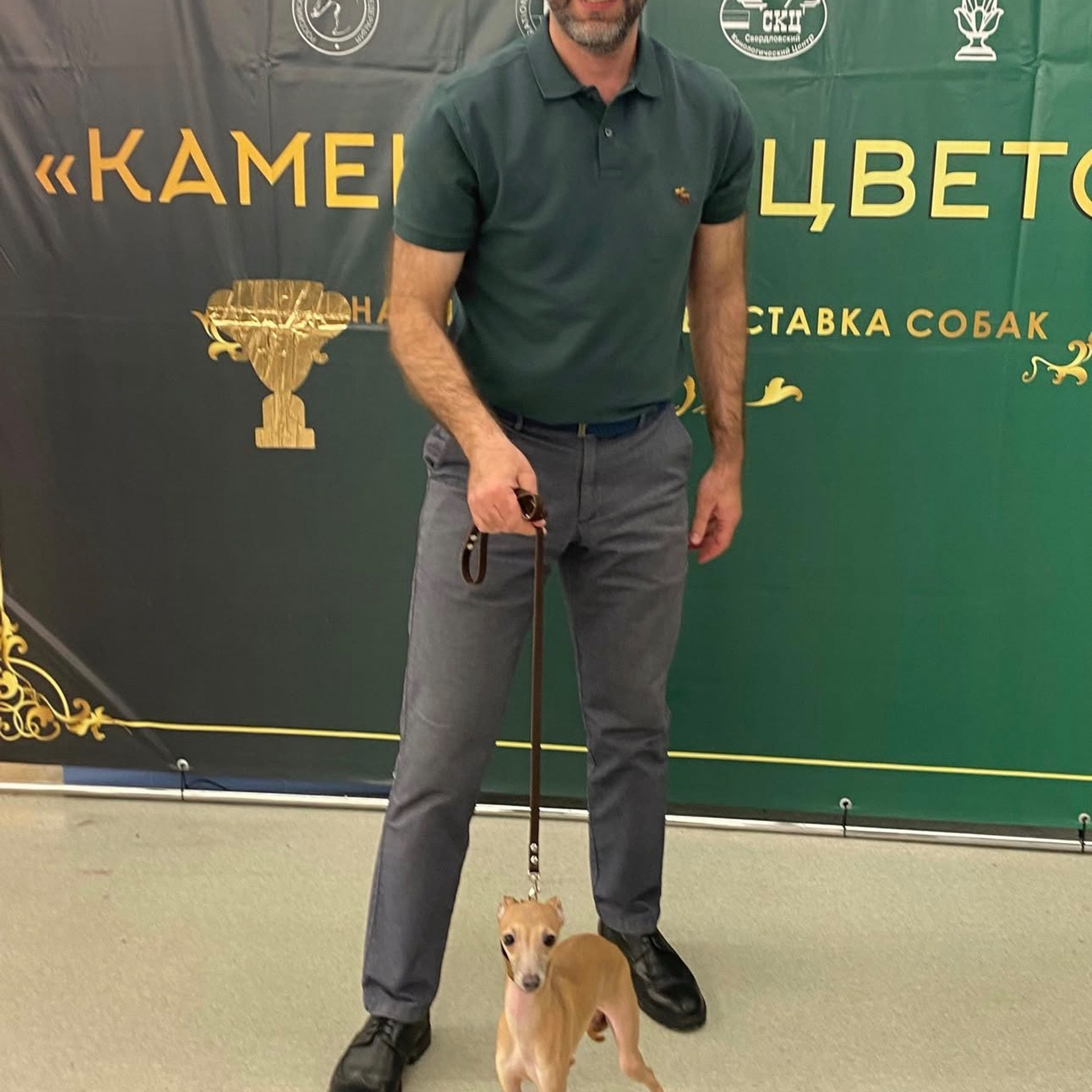 Итоги марта. Профессиональный питомник левреток РКФ/FCI ASTI SAPPHIRE 💎 Сочи|Санкт-Петербург