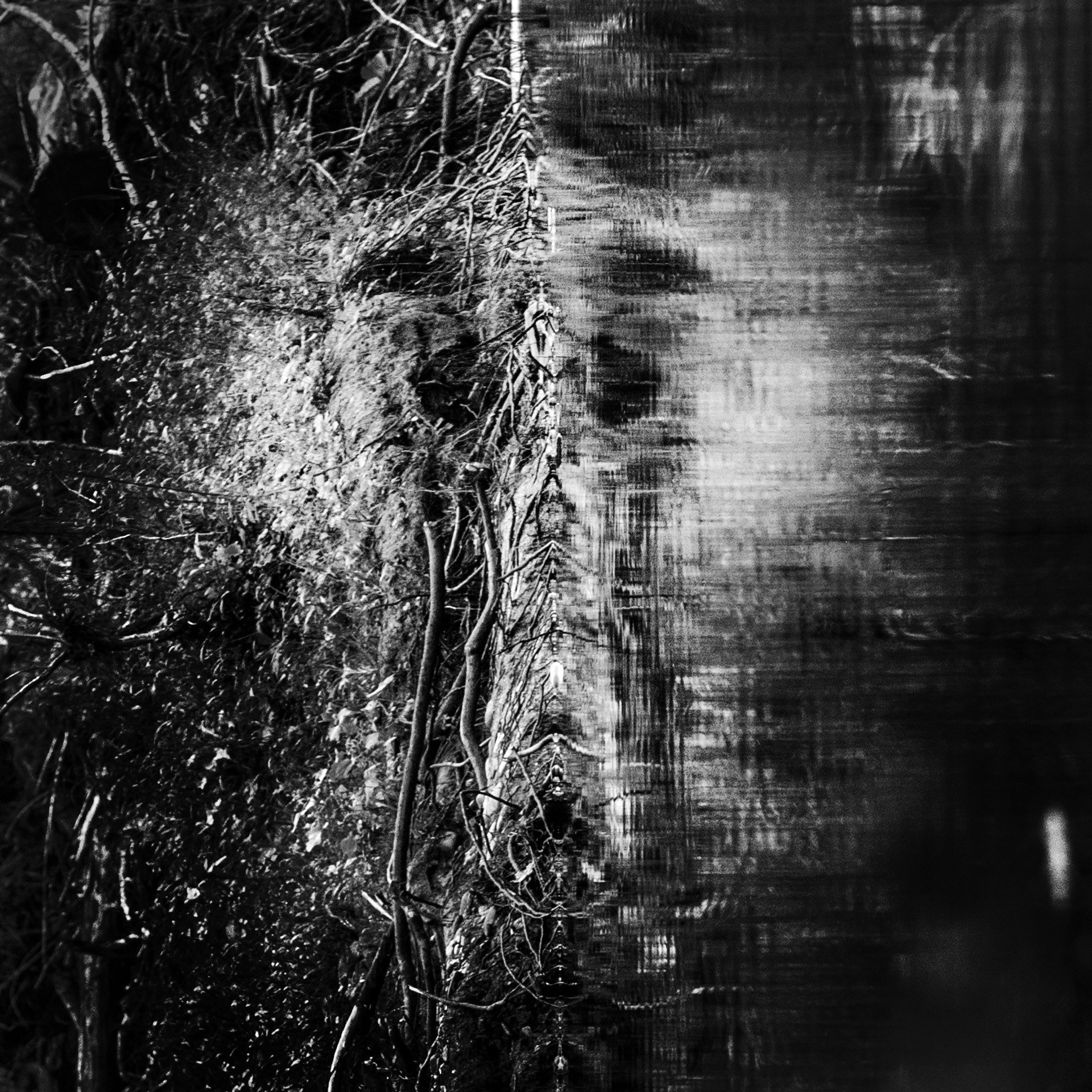 Лики природы — авторская чёрно-белая фотография | Alek-Sa