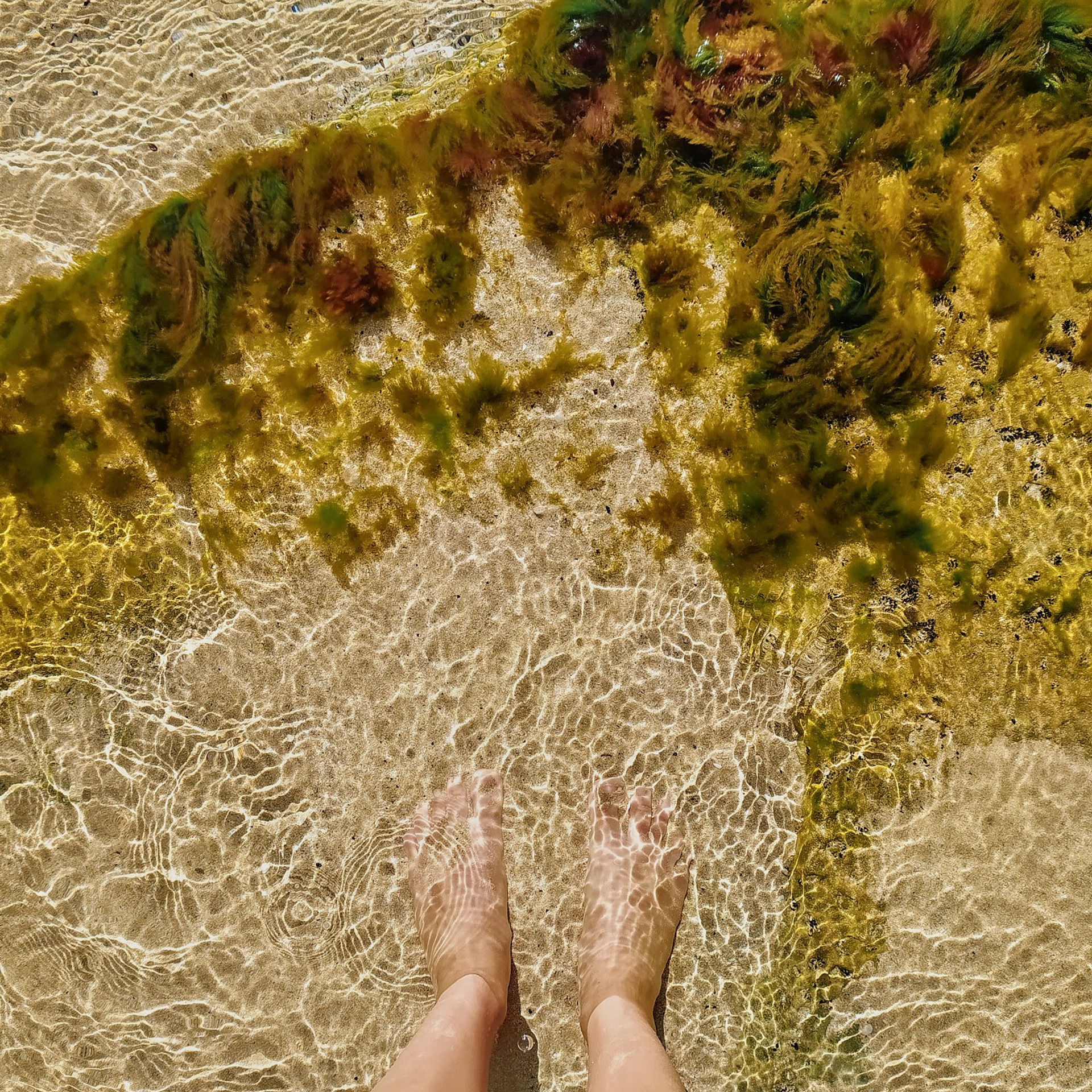 Казахстан 2023. Айгуль Лотфуллина. #АйгульТВ. Фотограф в Адлере и Сочи, Красной Поляне