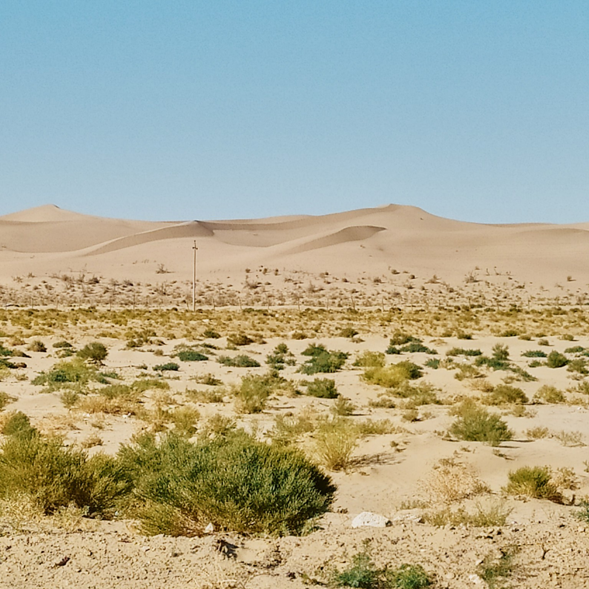 Казахстан 2023. Айгуль Лотфуллина. #АйгульТВ. Фотограф в Адлере и Сочи, Красной Поляне