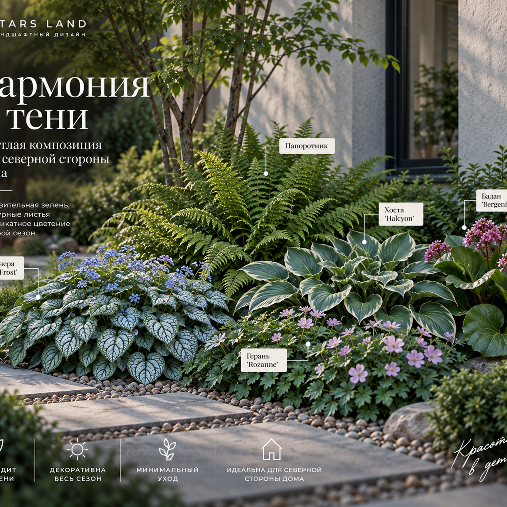 Светлая композиция для северной стороны