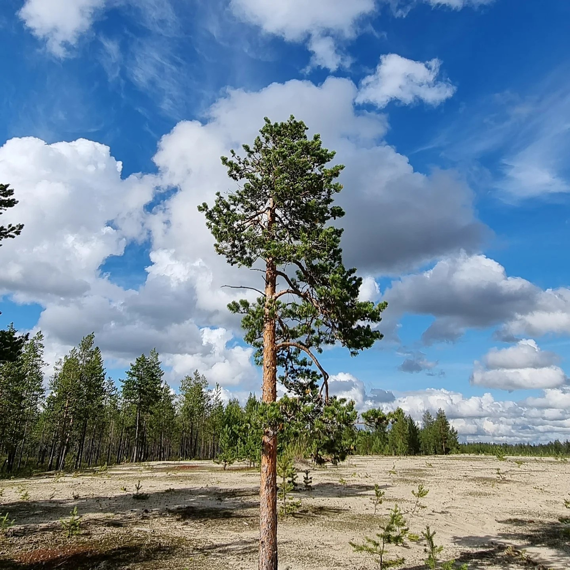 Фотограф в Ростове на Дону Пейович Виктория