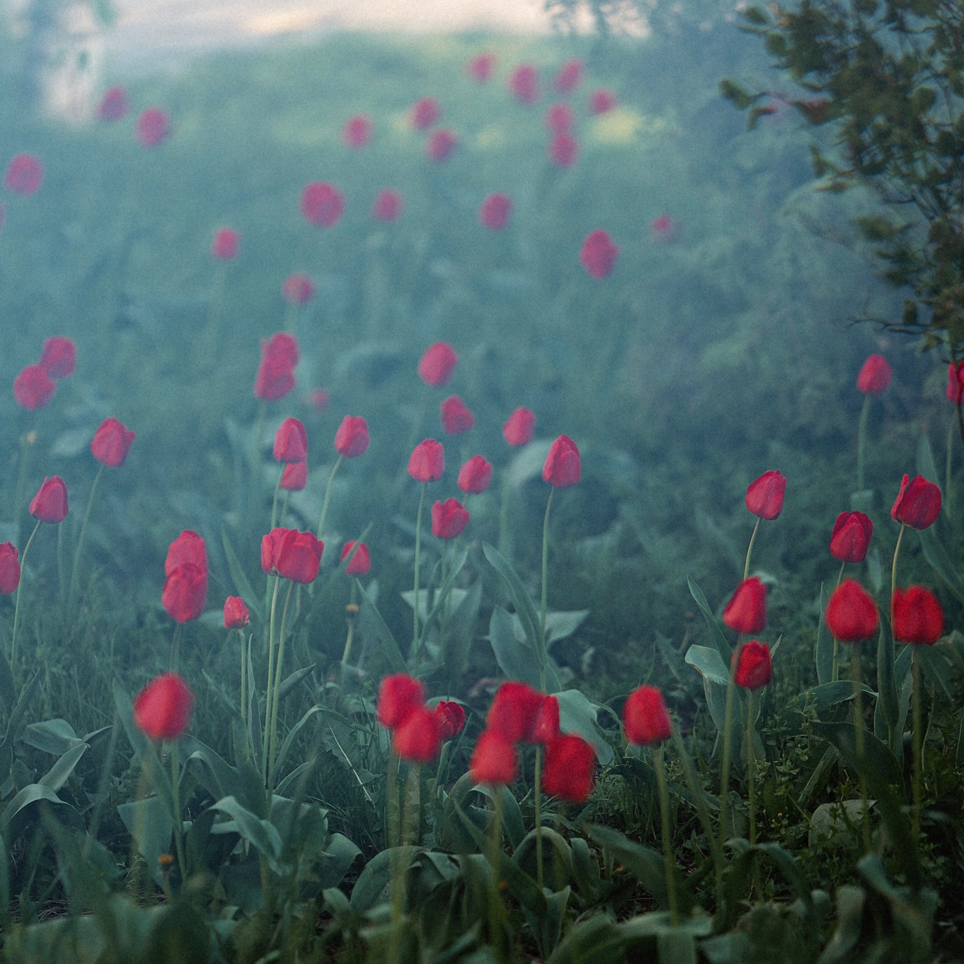 Оформительство. Андрей Сливенко. Свадебный фотограф и видеограф в Волгодонске и Ростове-на-Дону