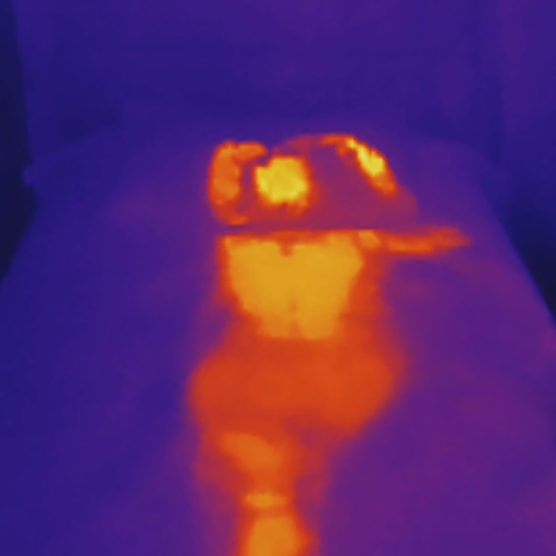 Тепловой след / Heat trace