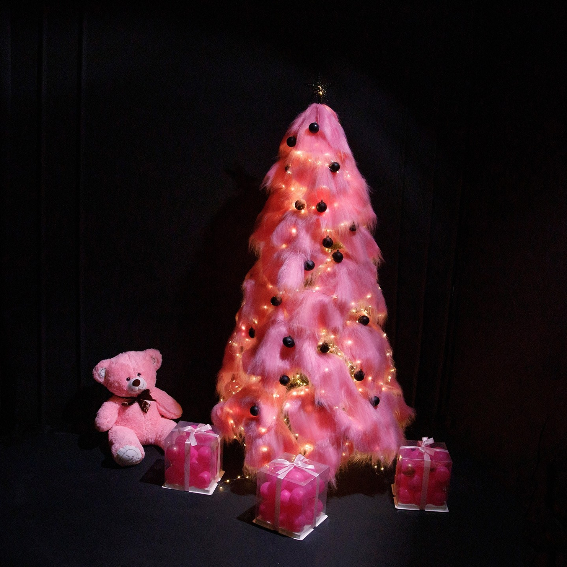 Актуальный интерьер фотостудий Брянска на Ноябрь, Декабрь 2024 и начала Января 2025