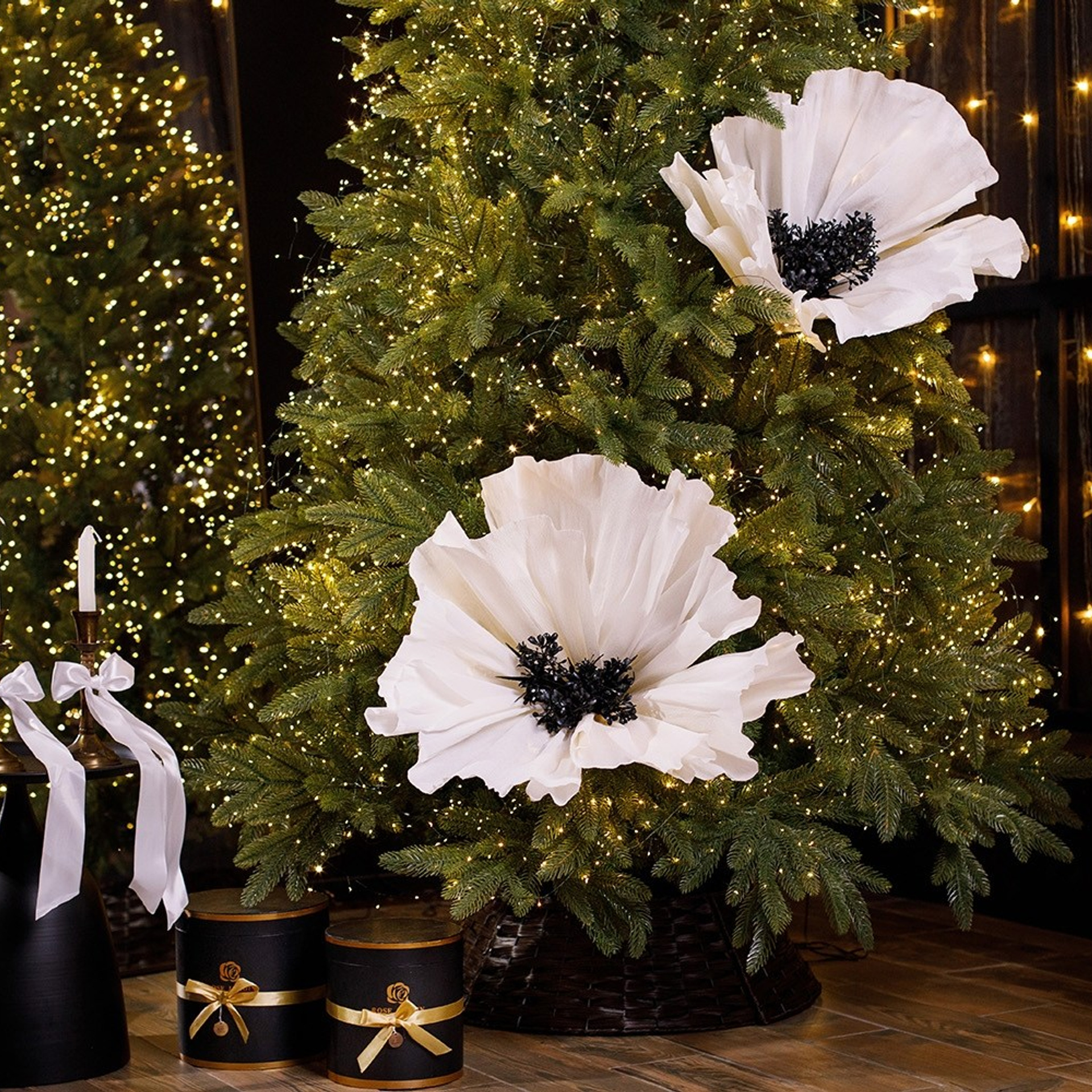 Актуальный интерьер фотостудий Брянска на Ноябрь, Декабрь 2024 и начала Января 2025