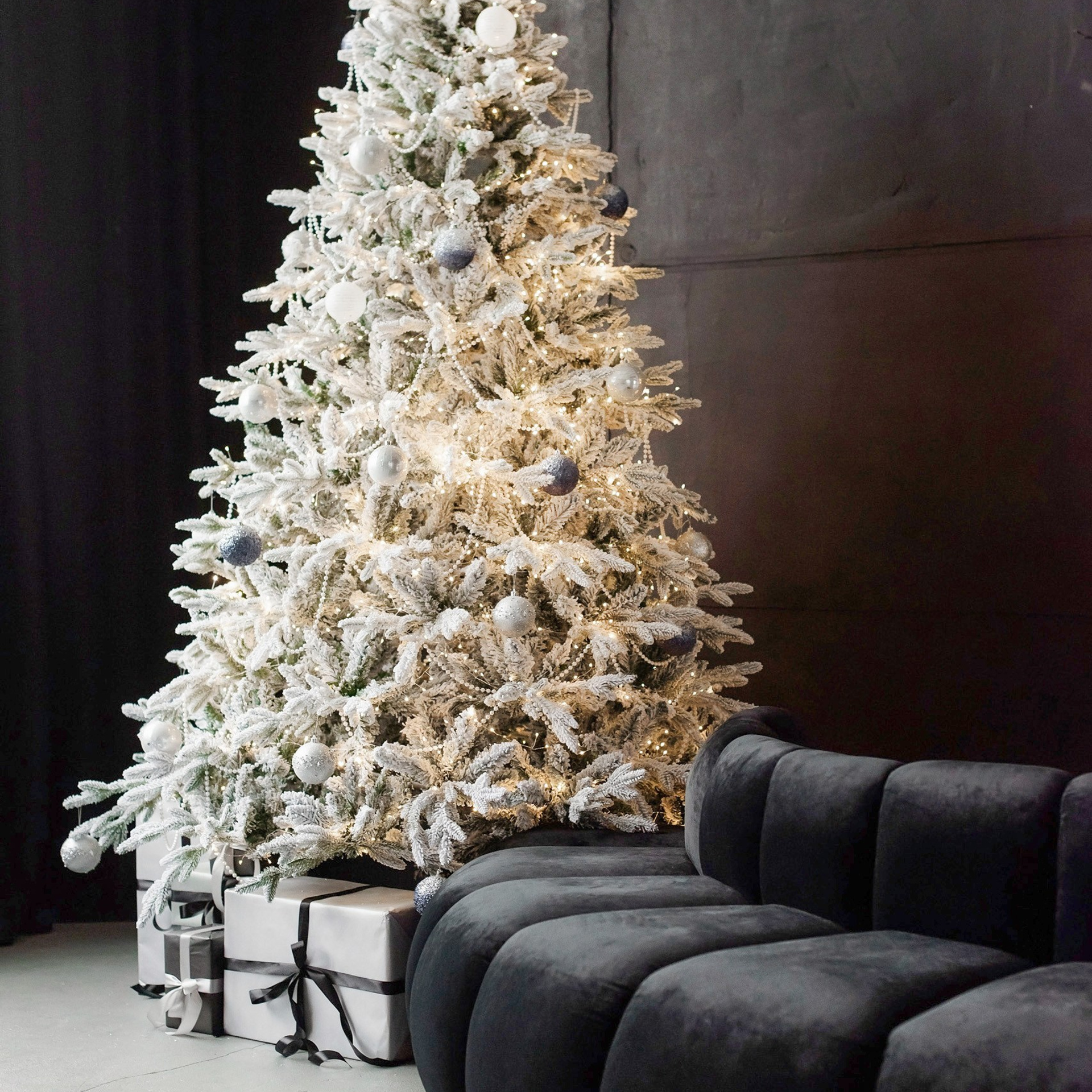 Актуальный интерьер фотостудий Брянска на Ноябрь, Декабрь 2024 и начала Января 2025