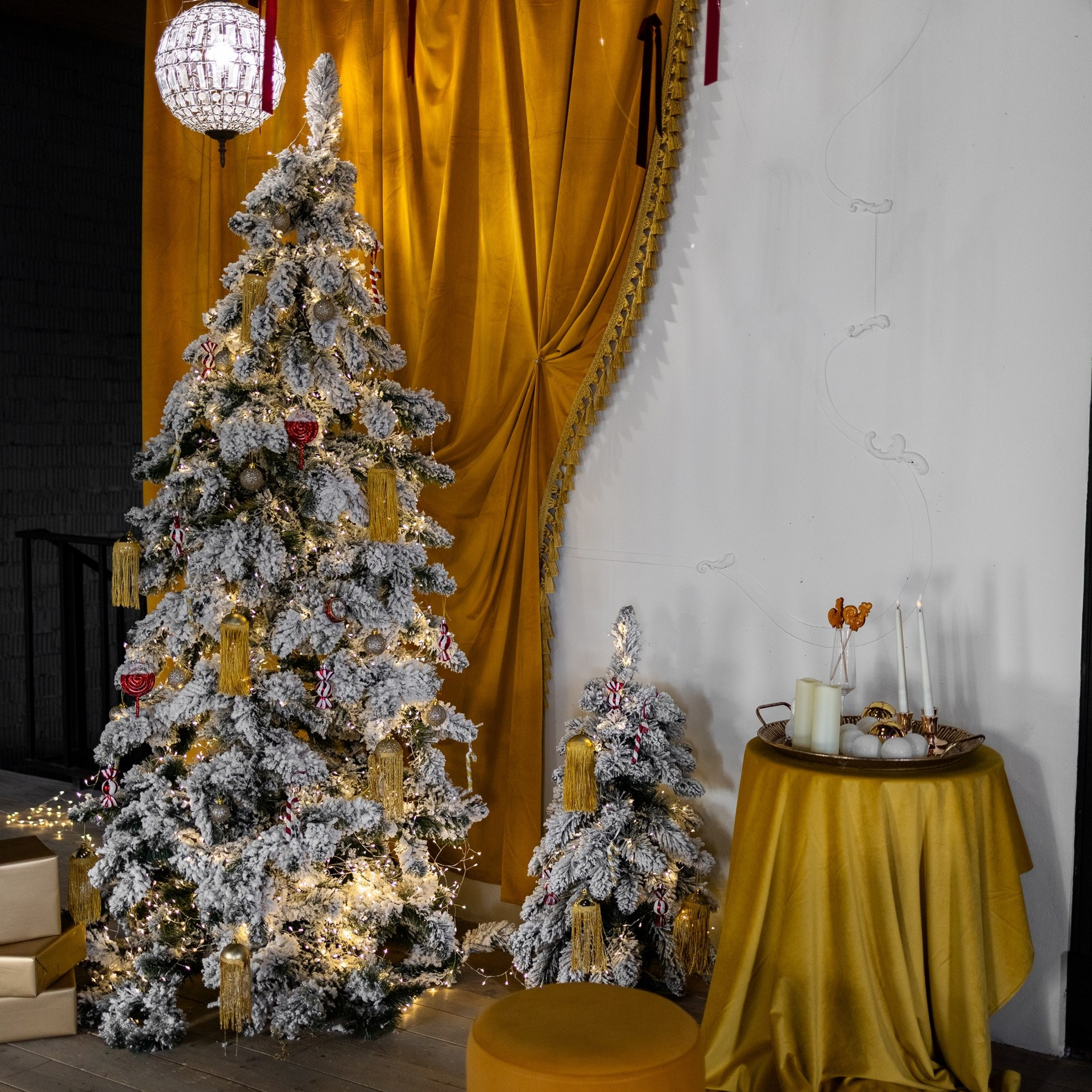 Актуальный интерьер фотостудий Брянска на Ноябрь, Декабрь 2024 и начала Января 2025