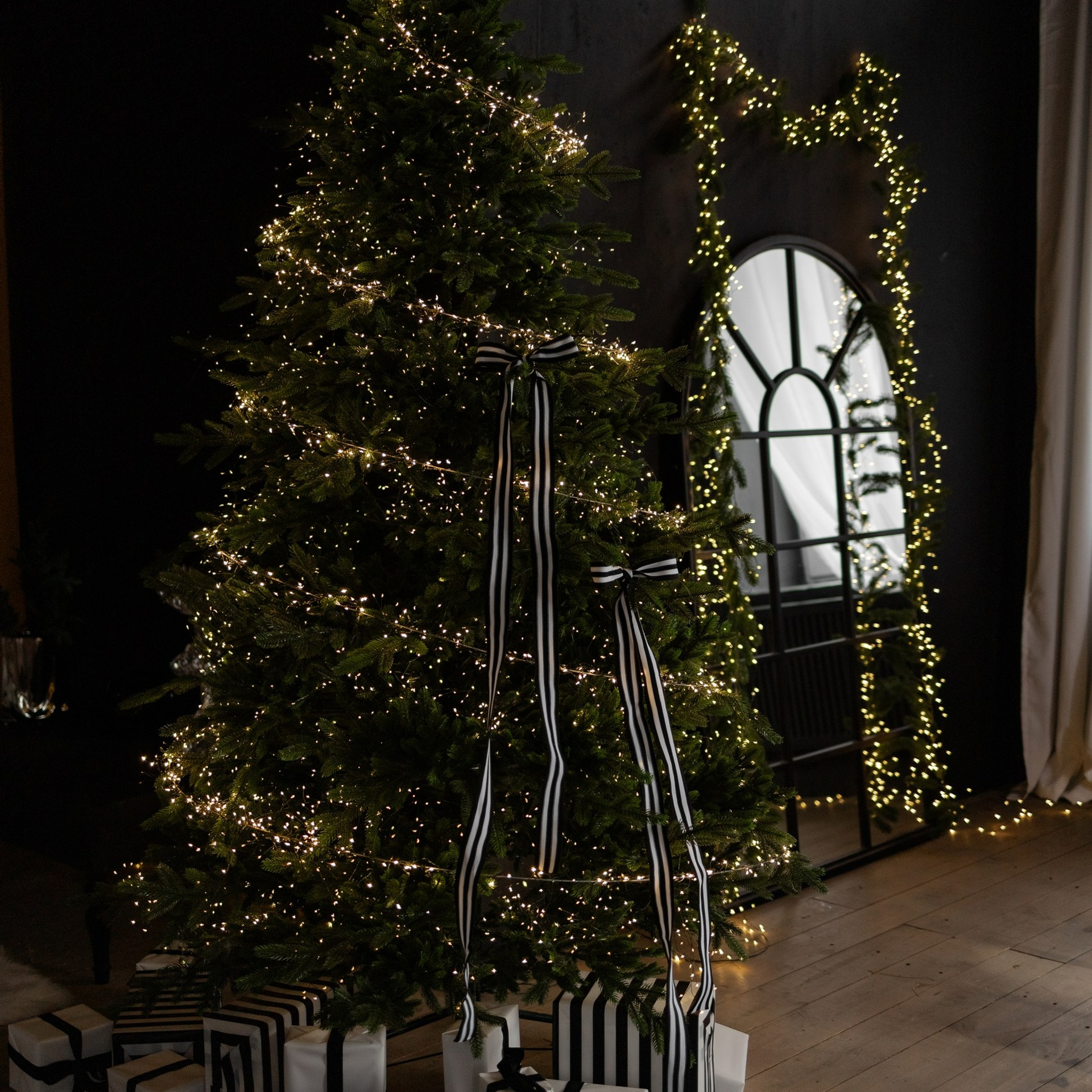 Актуальный интерьер фотостудий Брянска на Ноябрь, Декабрь 2024 и начала Января 2025