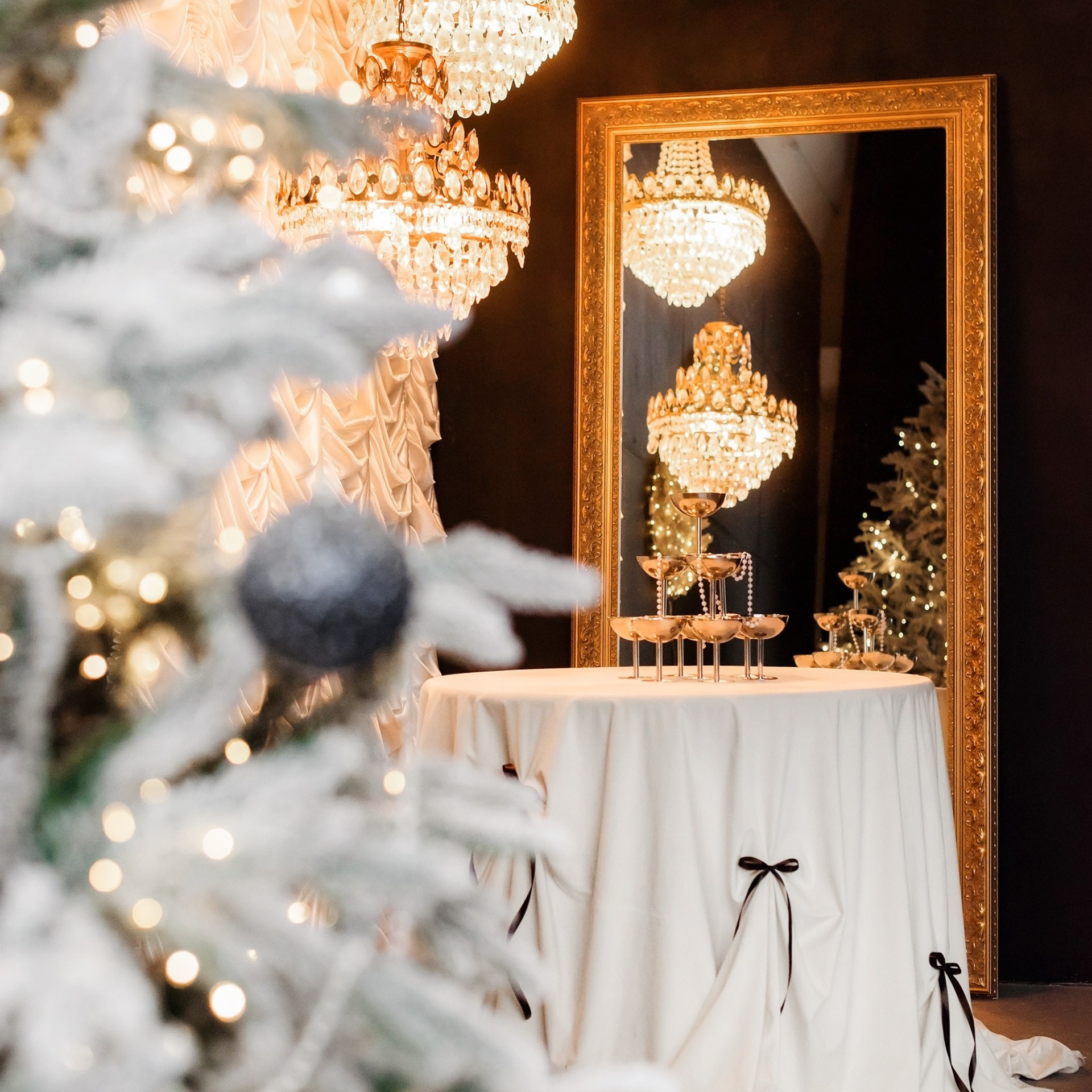 Актуальный интерьер фотостудий Брянска на Ноябрь, Декабрь 2024 и начала Января 2025