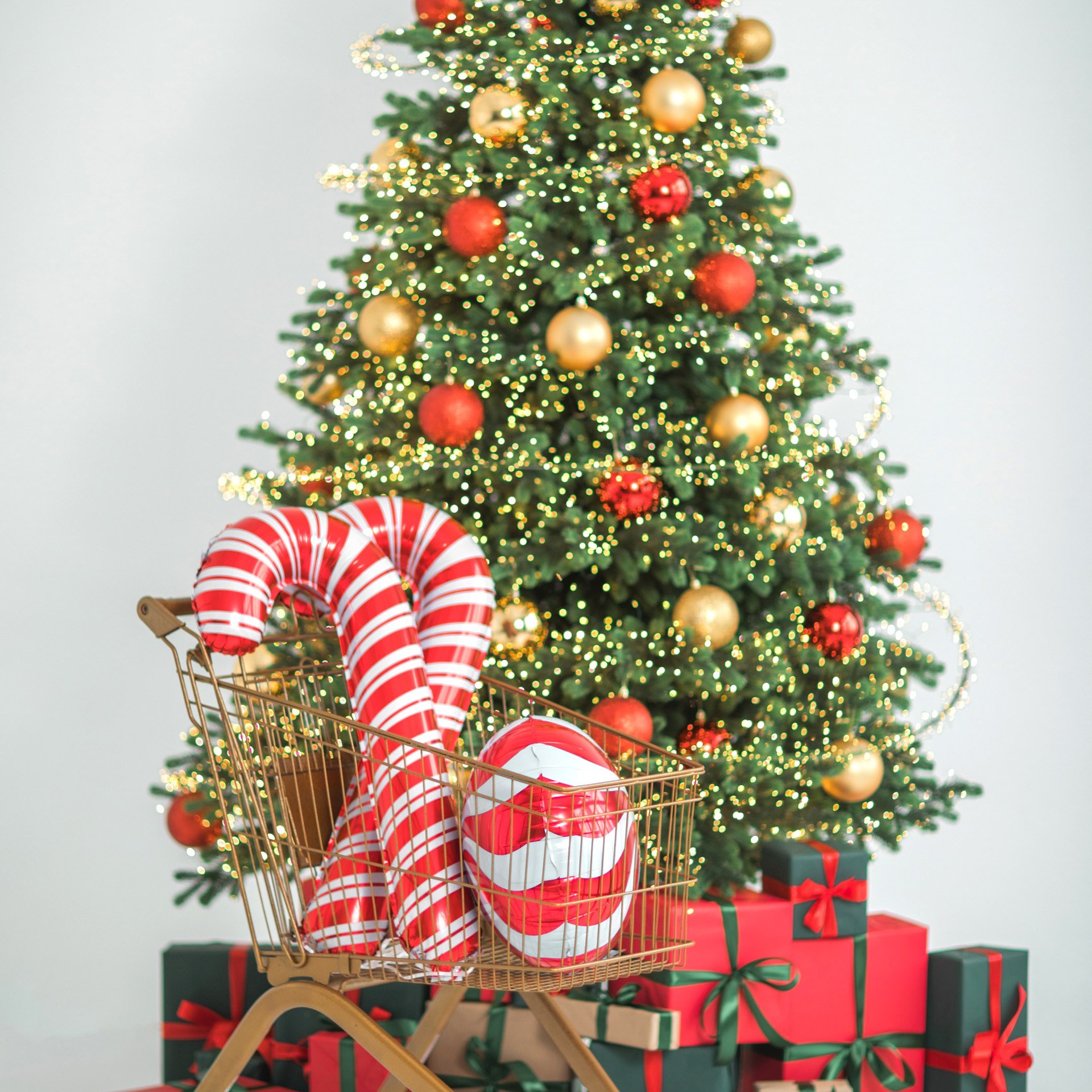 Актуальный интерьер фотостудий Брянска на Ноябрь, Декабрь 2025 и начала Января 2026