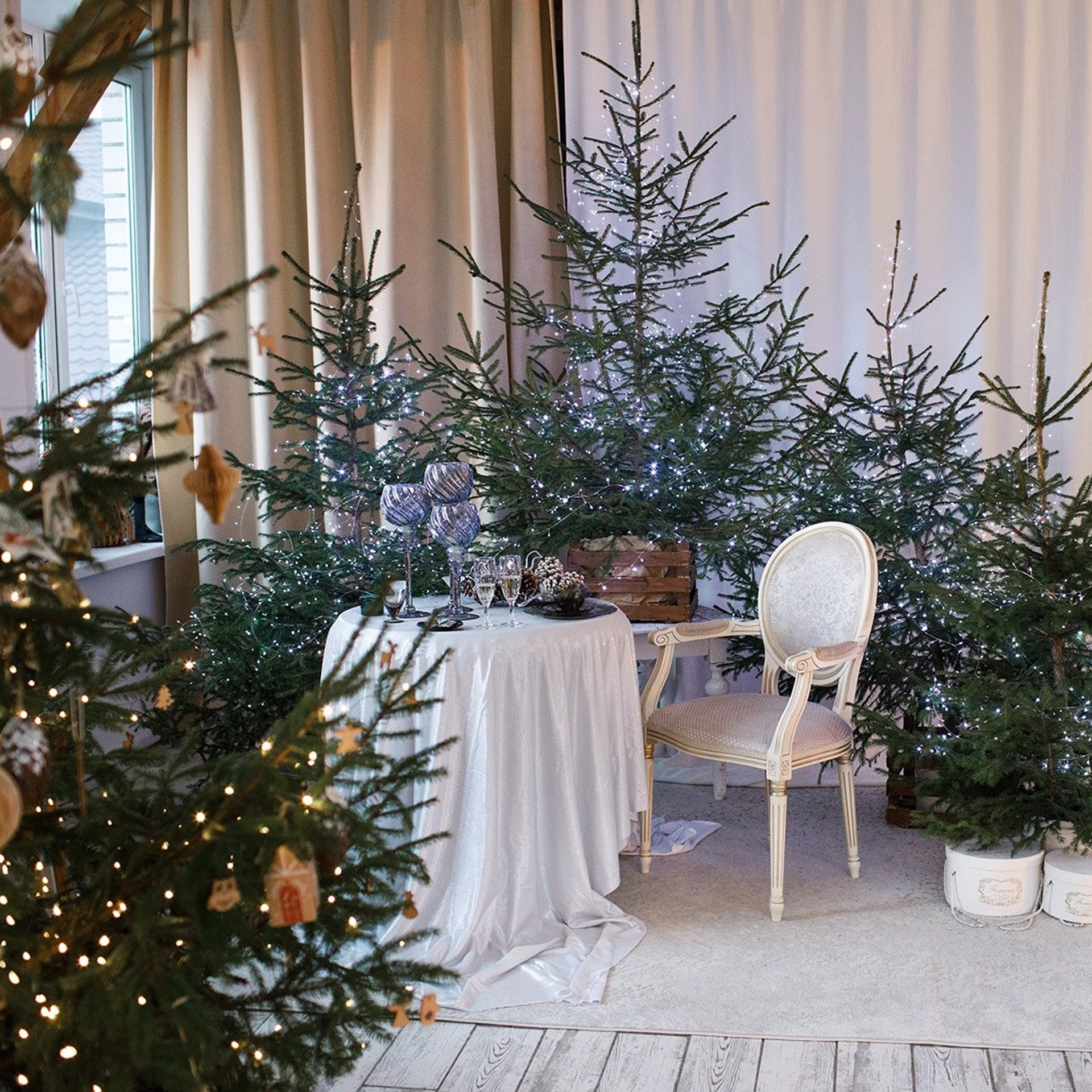 Актуальный интерьер фотостудий Брянска на Ноябрь, Декабрь 2024 и начала Января 2025