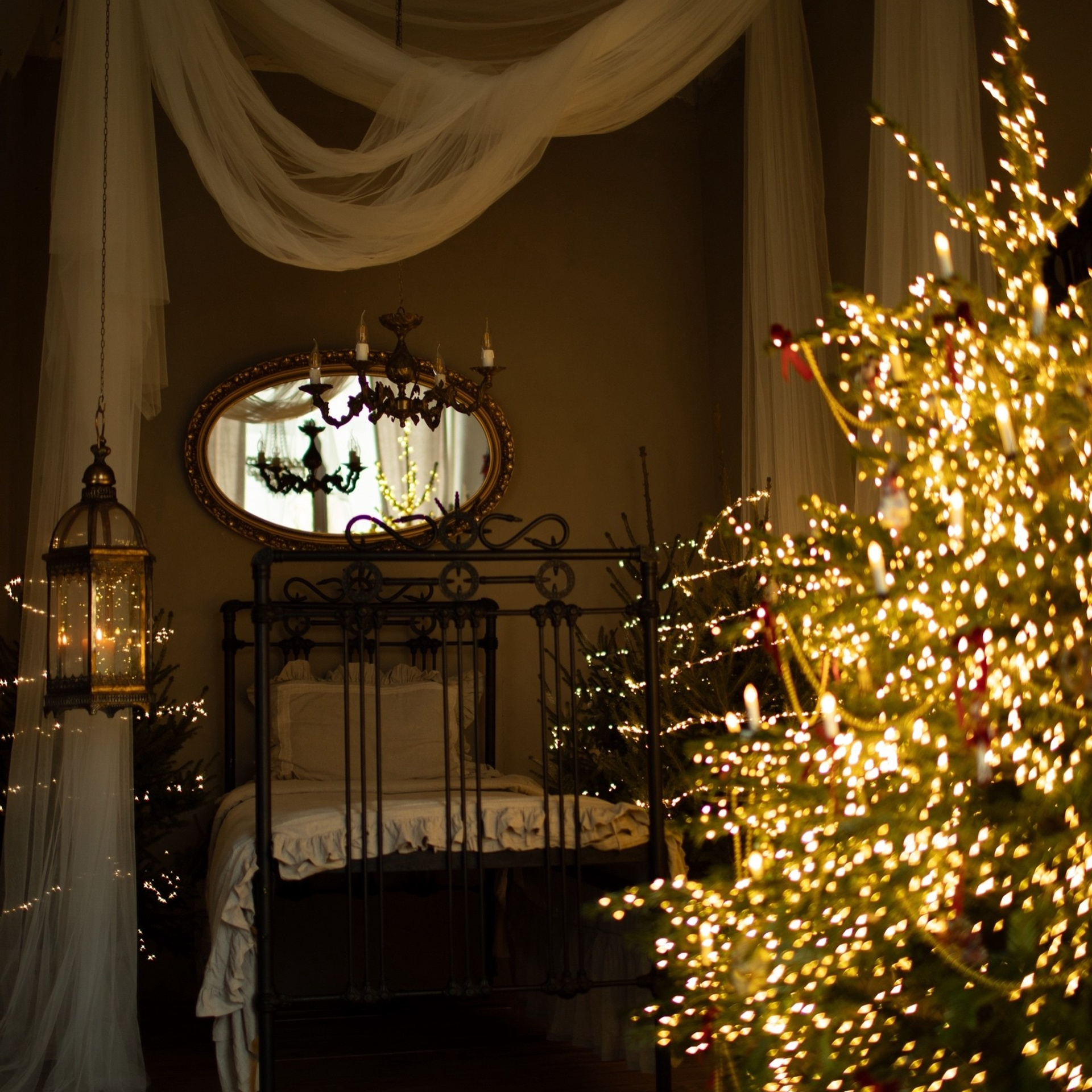 Актуальный интерьер фотостудий Брянска на Ноябрь, Декабрь 2025 и начала Января 2026