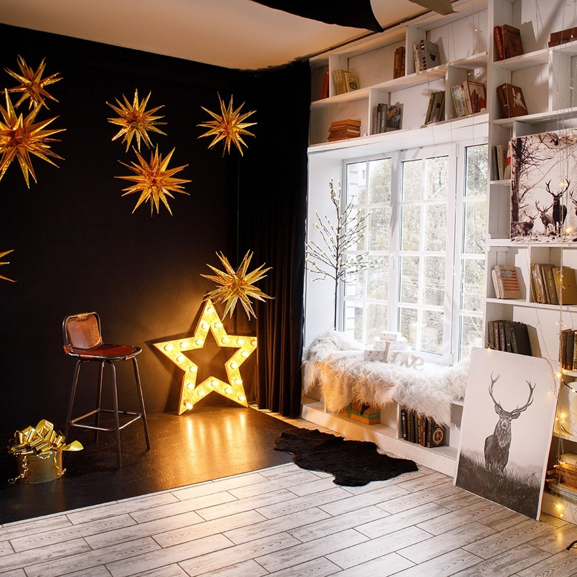 Актуальный интерьер фотостудий Брянска на Ноябрь, Декабрь 2024 и начала Января 2025